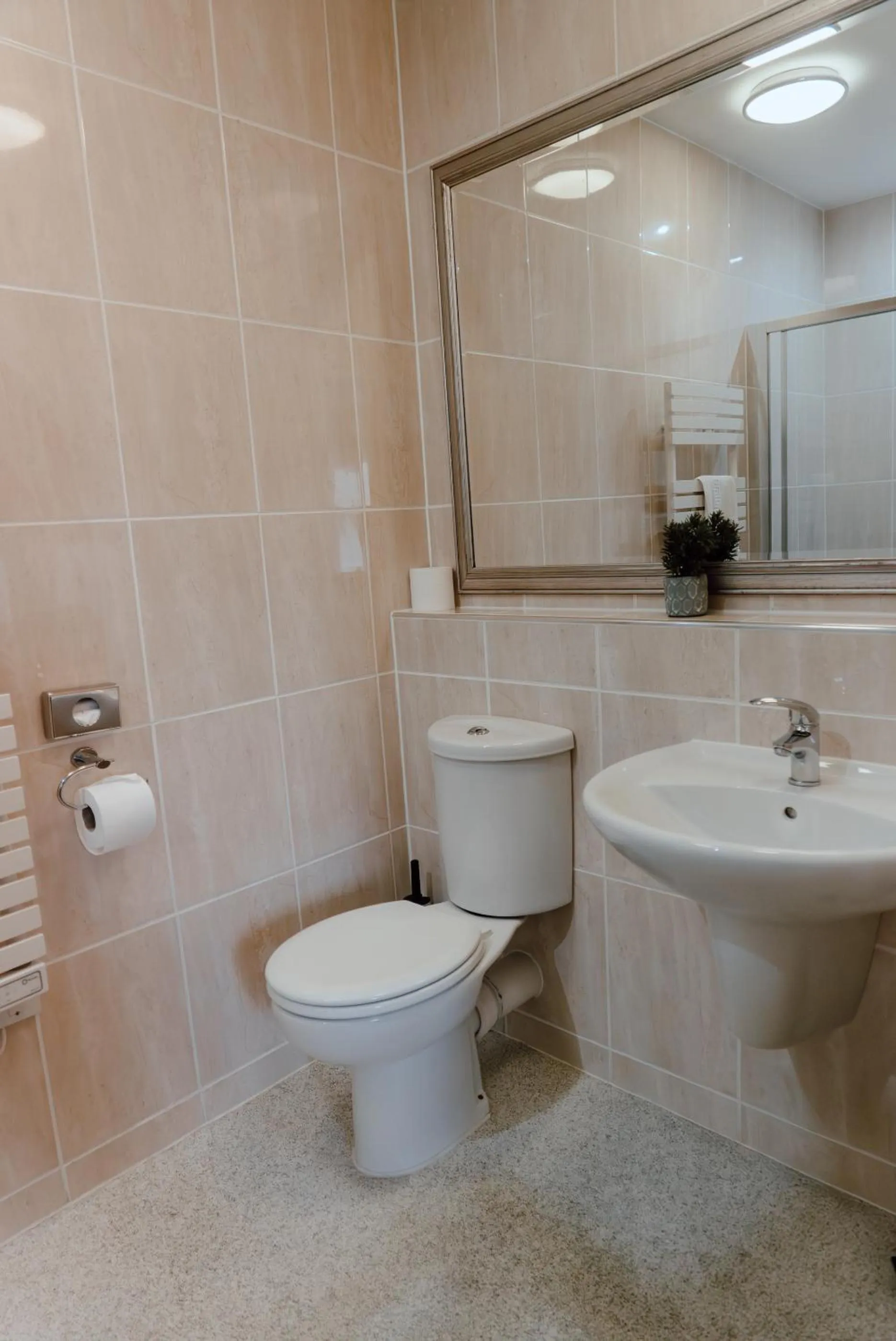 Deluxe Double Room with Castle View - single occupancy in Royal Hotel