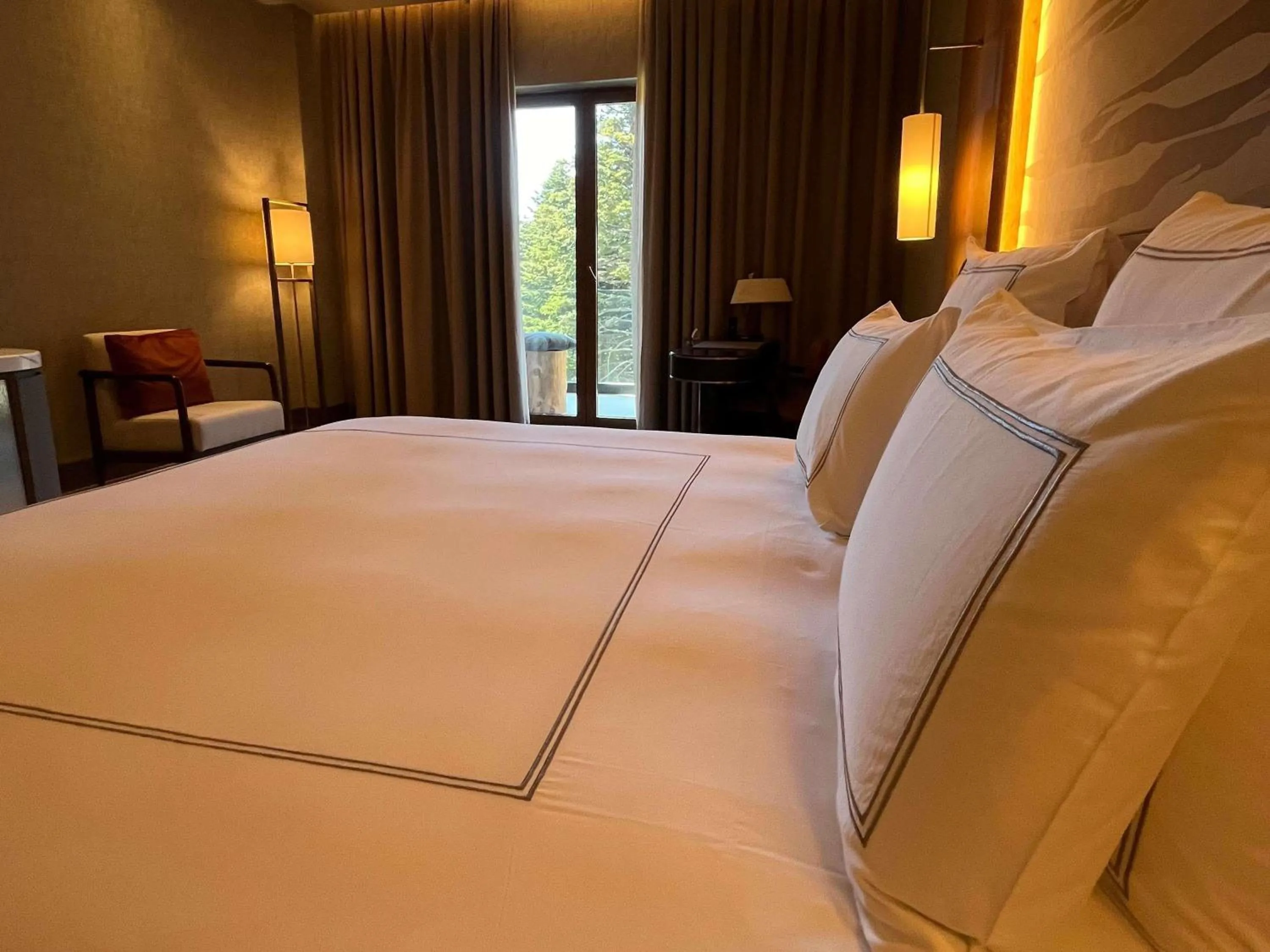 Swiss Executive King Room with Terrace in Swissotel Uludag Bursa