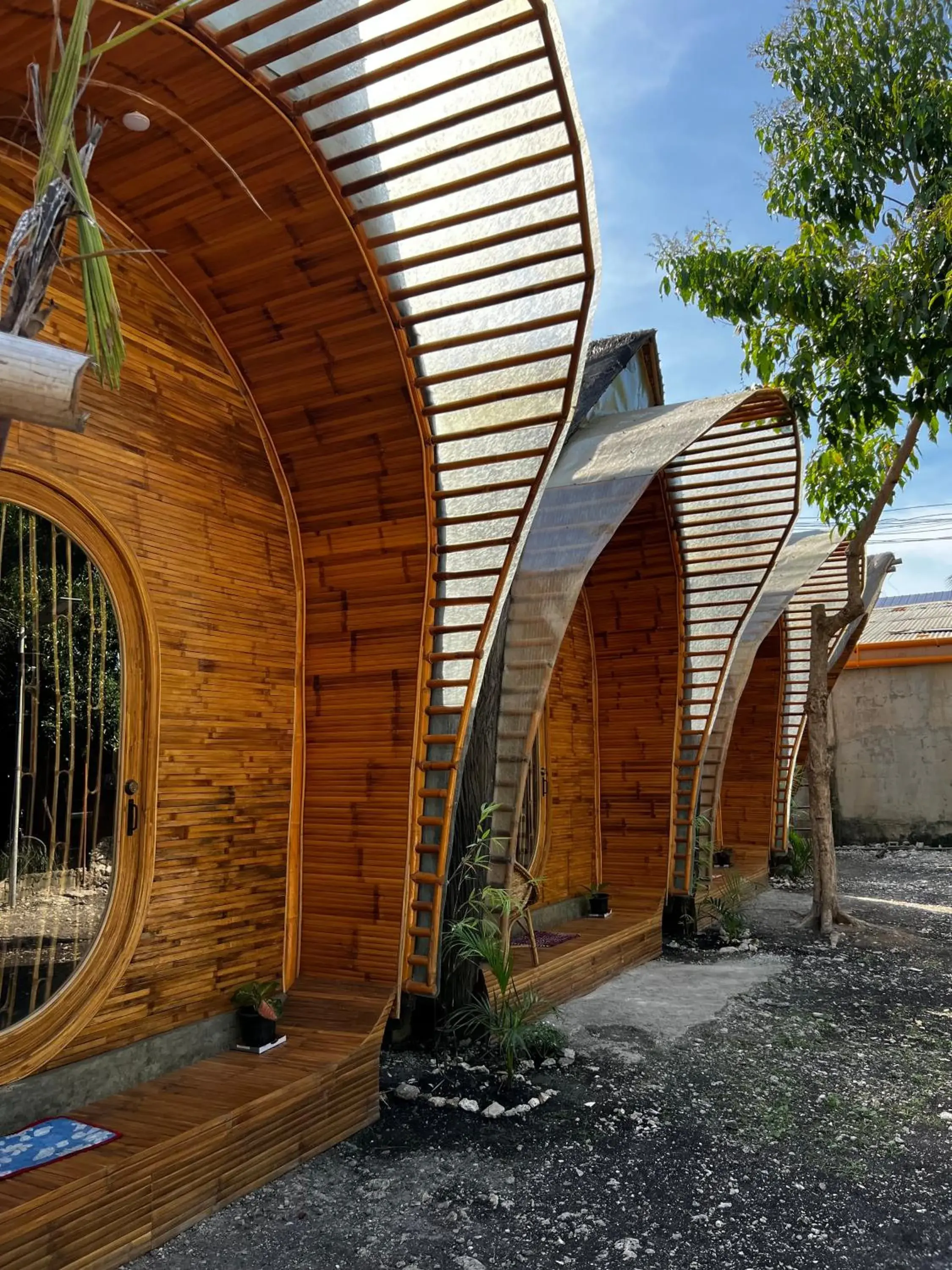 The Backyard Inn The Backyard Inn