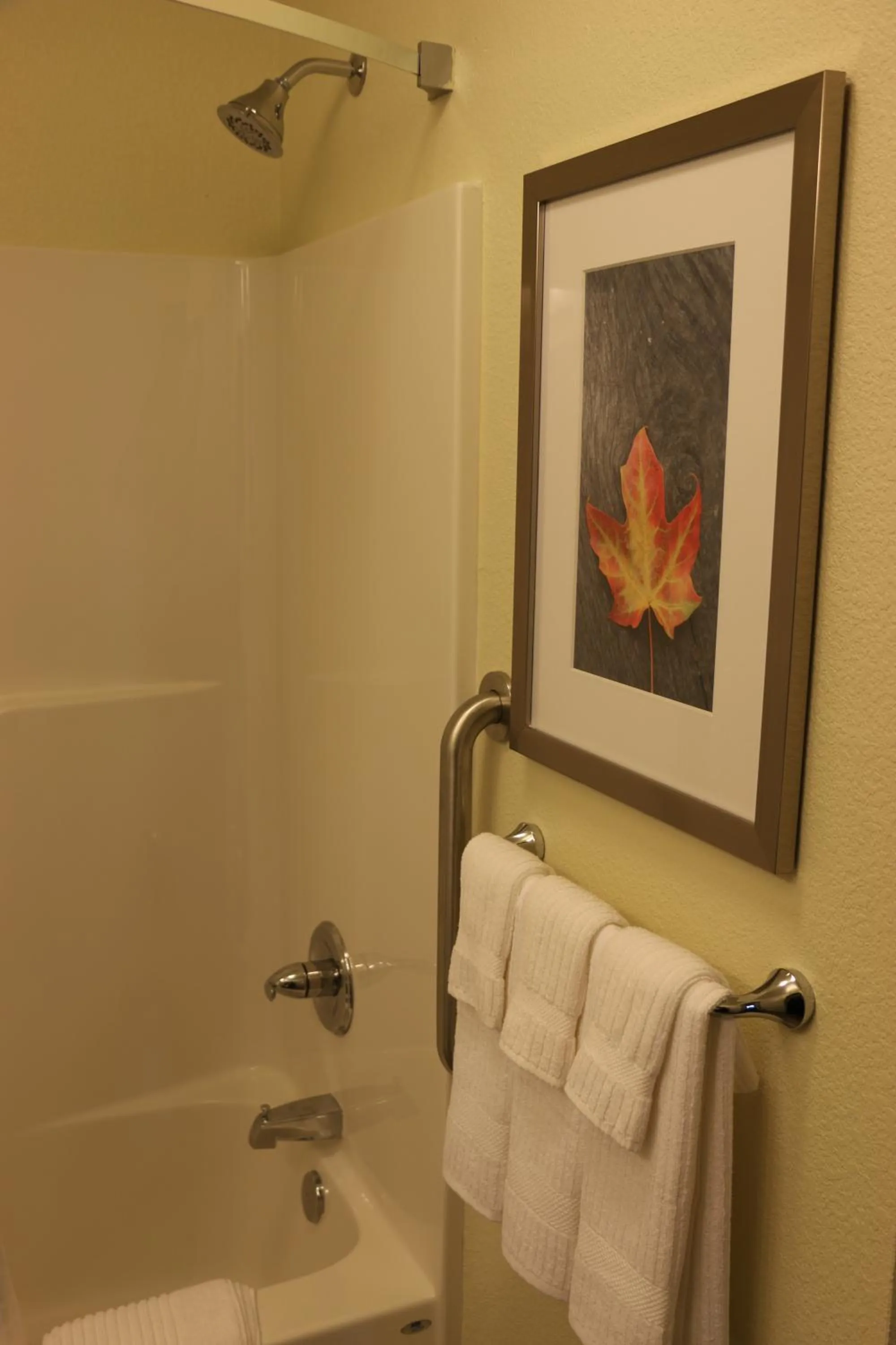 Queen Studio Suite with Two Queen Beds - Disability Access Tub/Non-Smoking in Candlewood Suites Bloomington by IHG