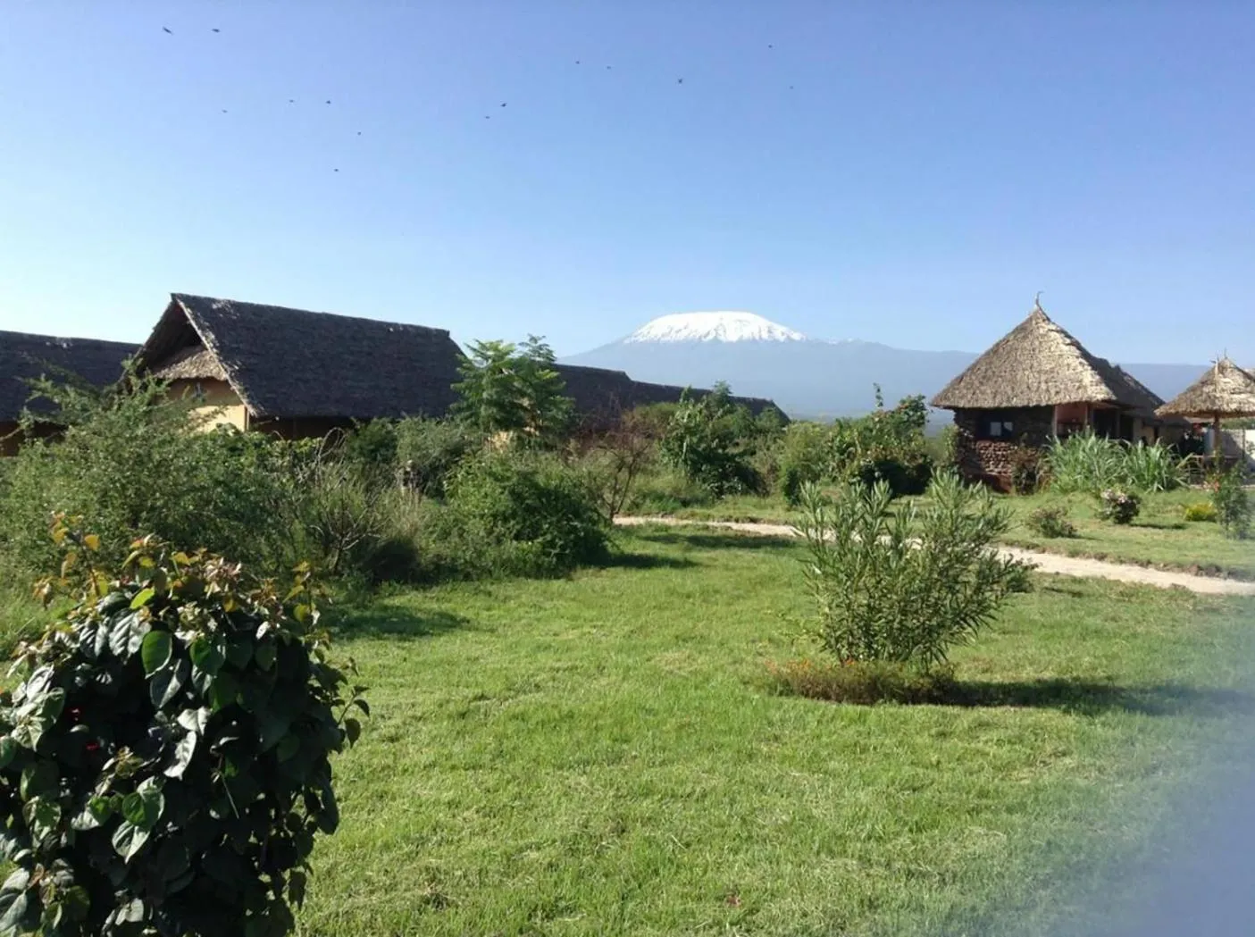 Cottage in AA Lodge Amboseli