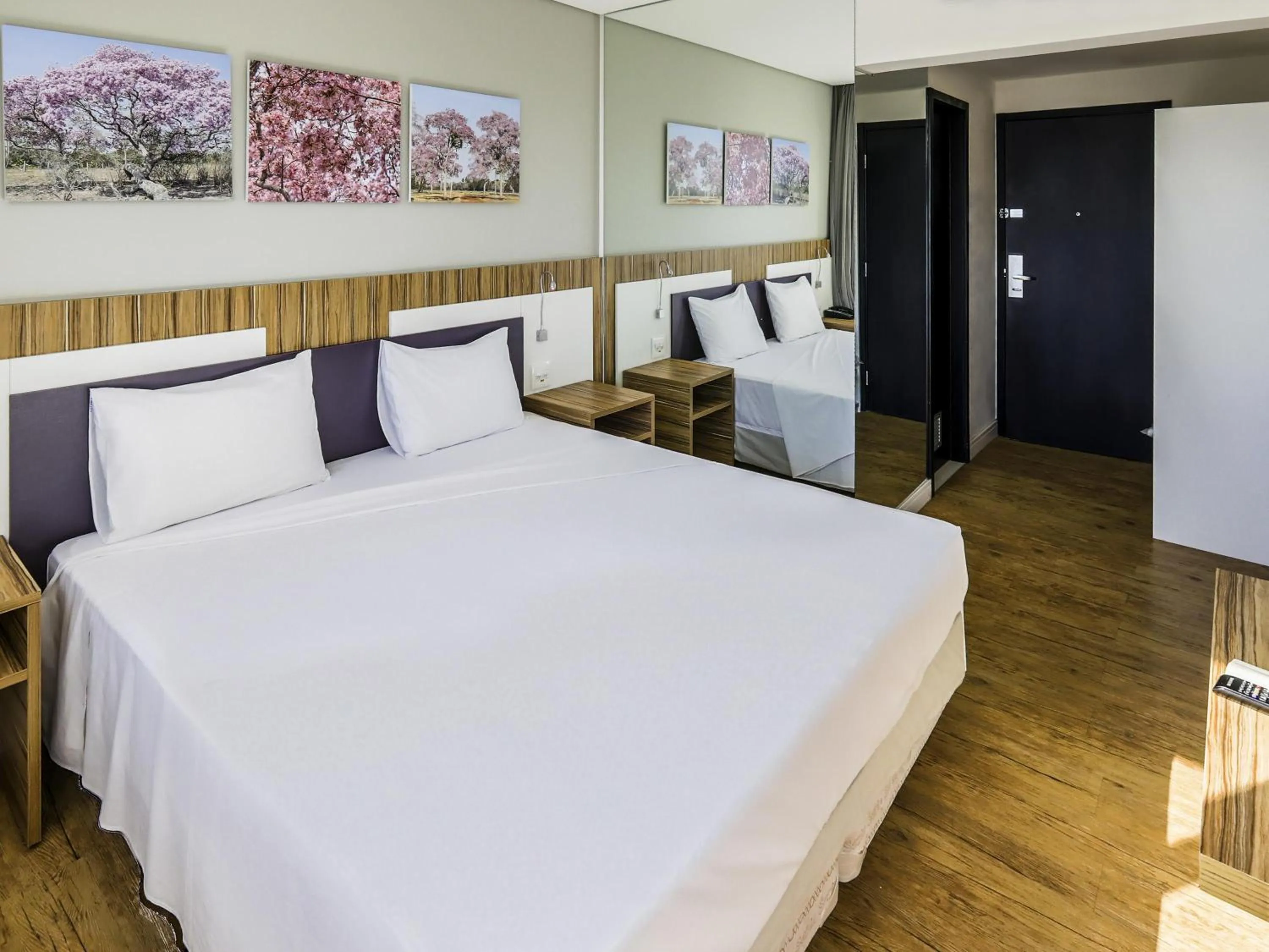 Family Suite with Double Bed and Sofa Bed - single occupancy in ibis Styles Confins Aeroporto