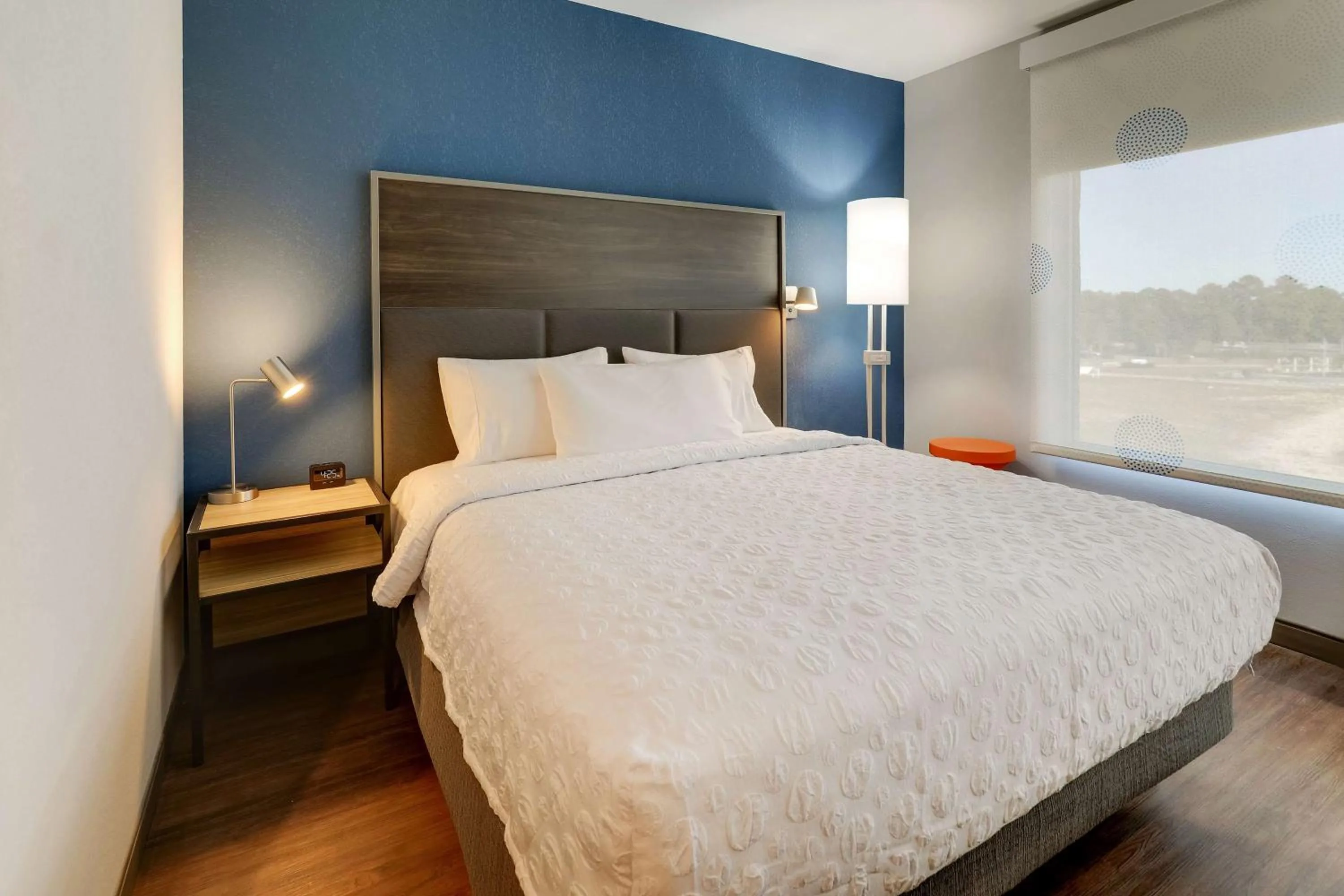 King Room with Walk-In Shower in Tru By Hilton Leland Wilmington