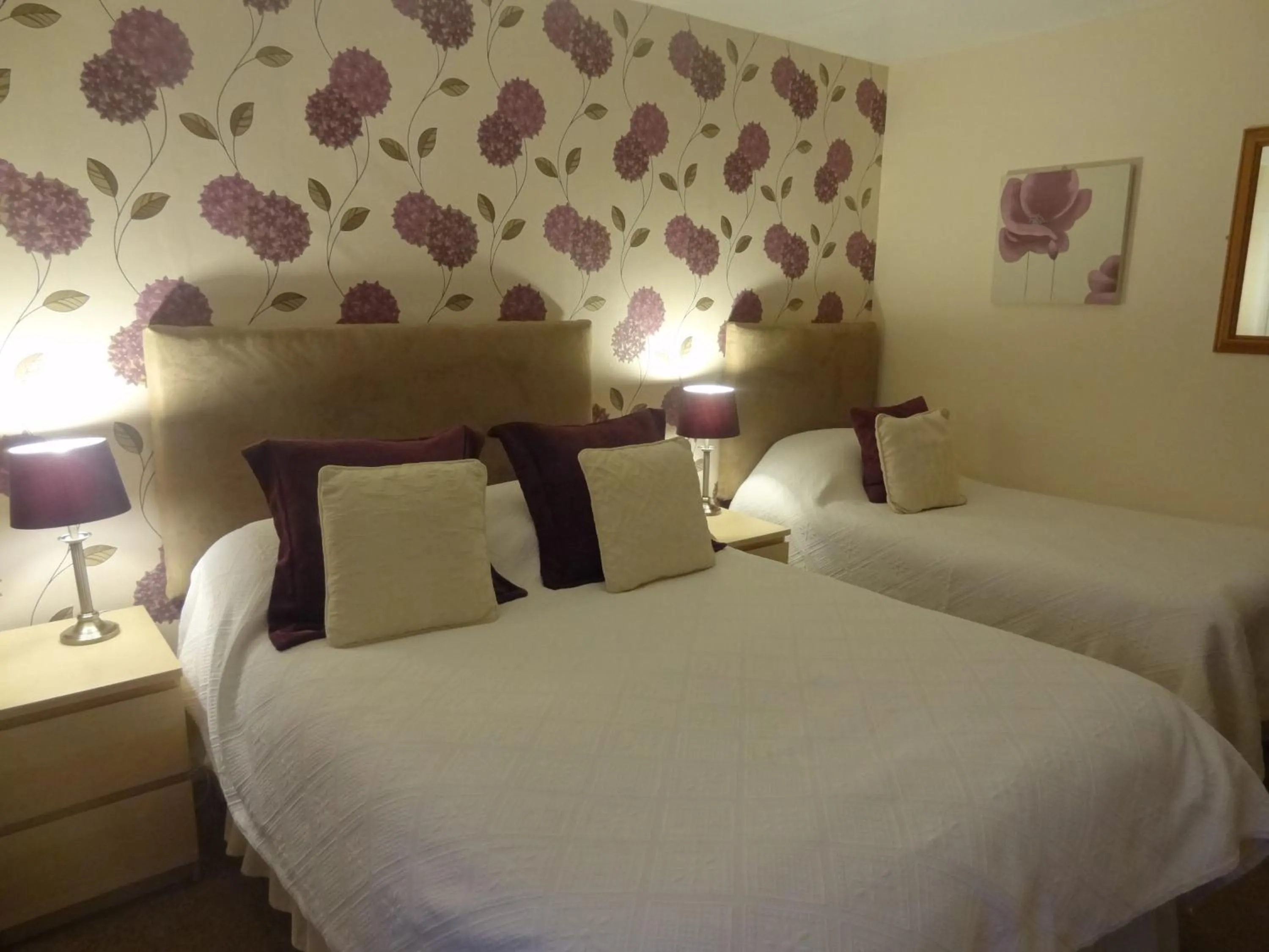 Double Room in Edward Hotel