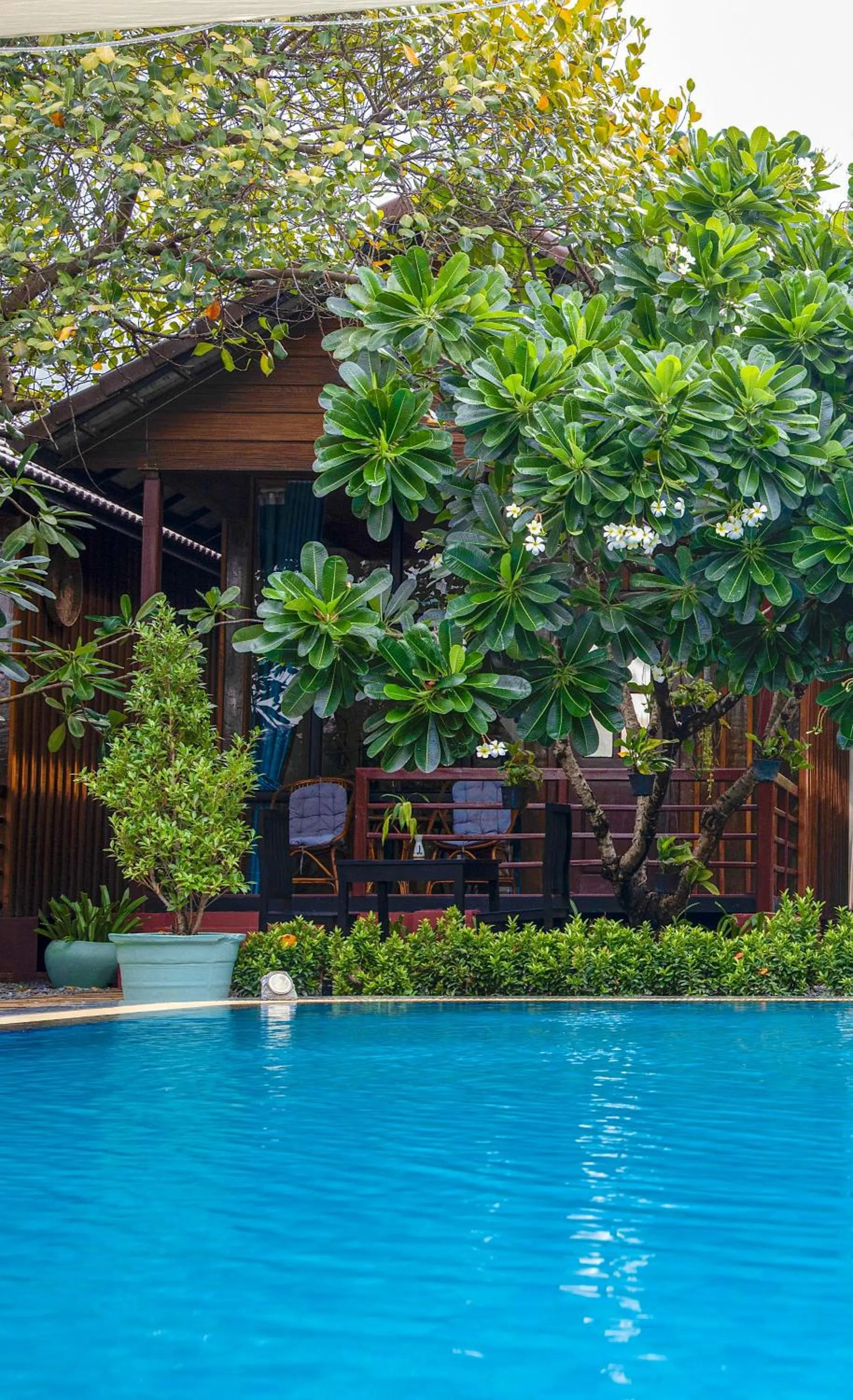 Habana Angkor Boutique Hotel