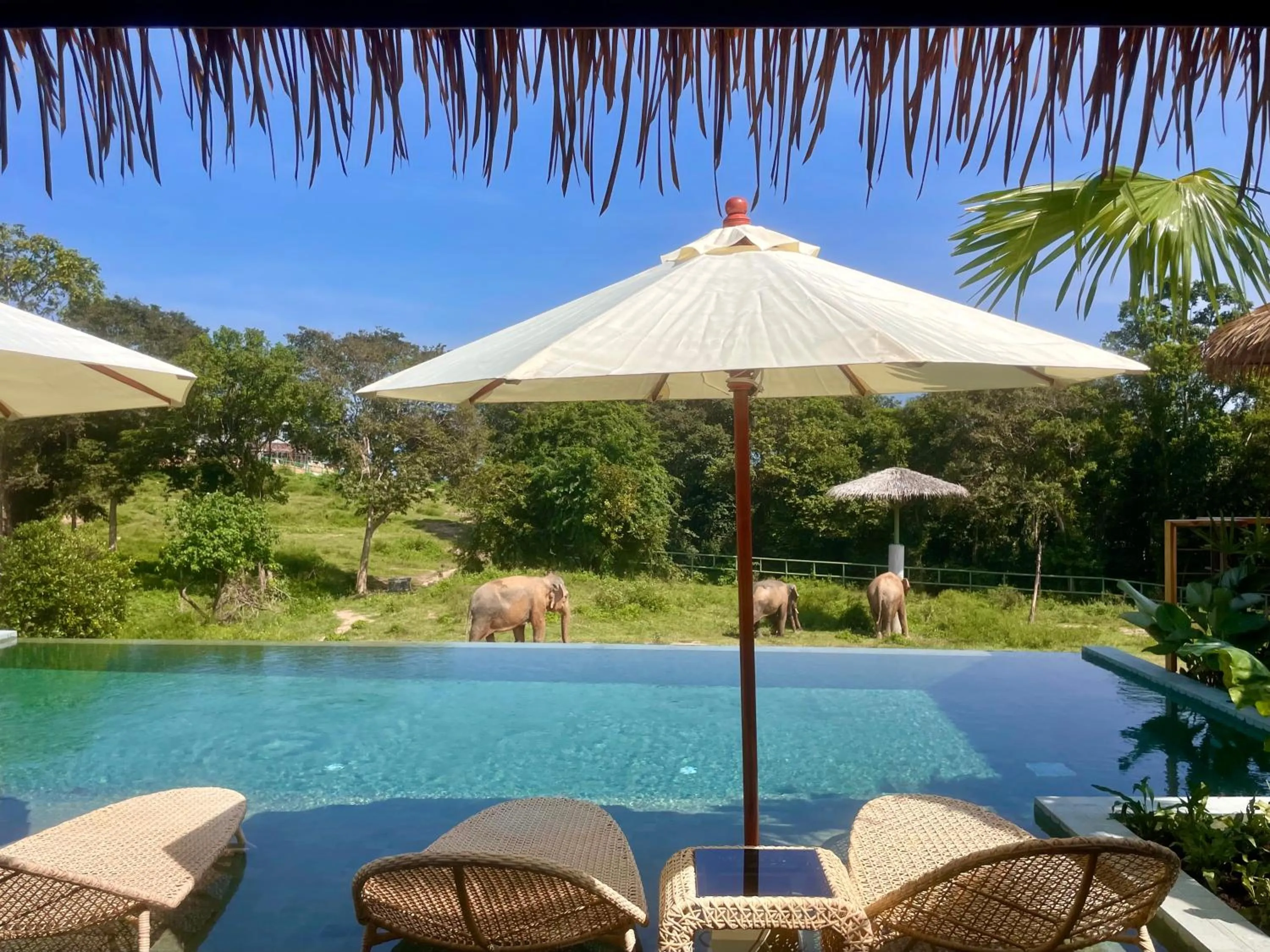 Deluxe Villa in Wild Cottages Elephant Sanctuary Resort