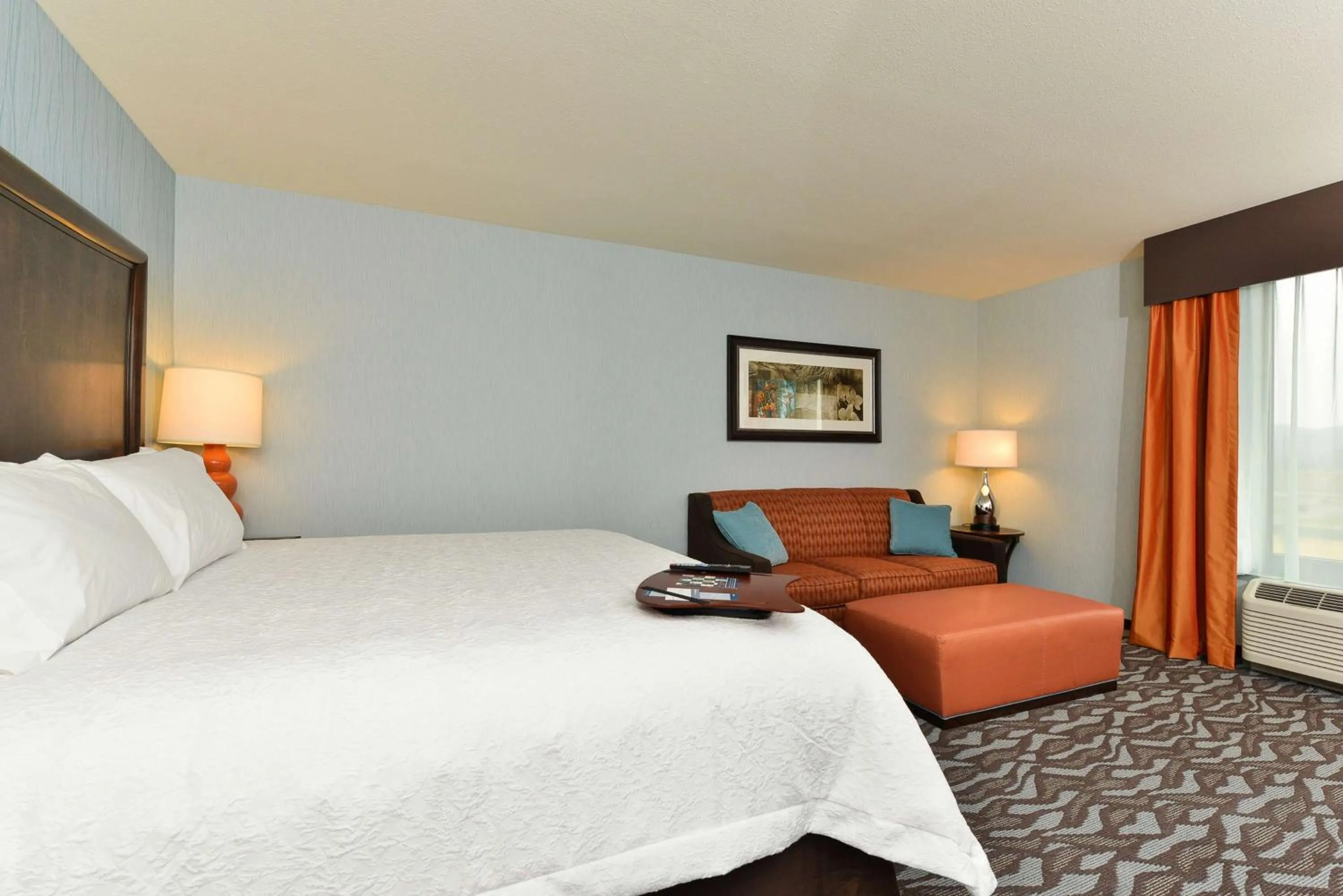 King Room with Sofa Bed - Hearing Accessible/Non-Smoking in Hampton Inn Corning/Painted Post