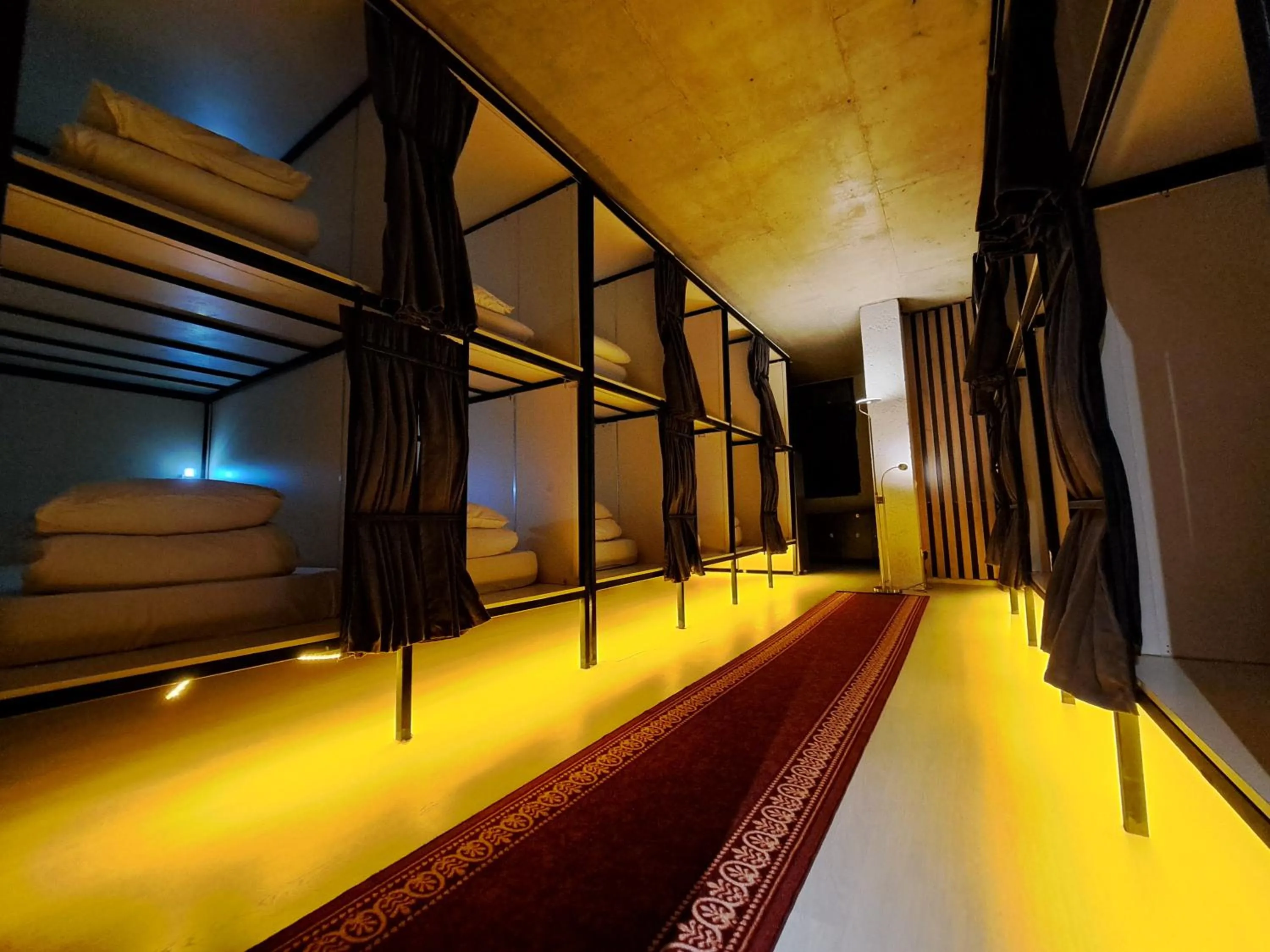 Single Bed in Mixed Dormitory Room in Karvi Hostel