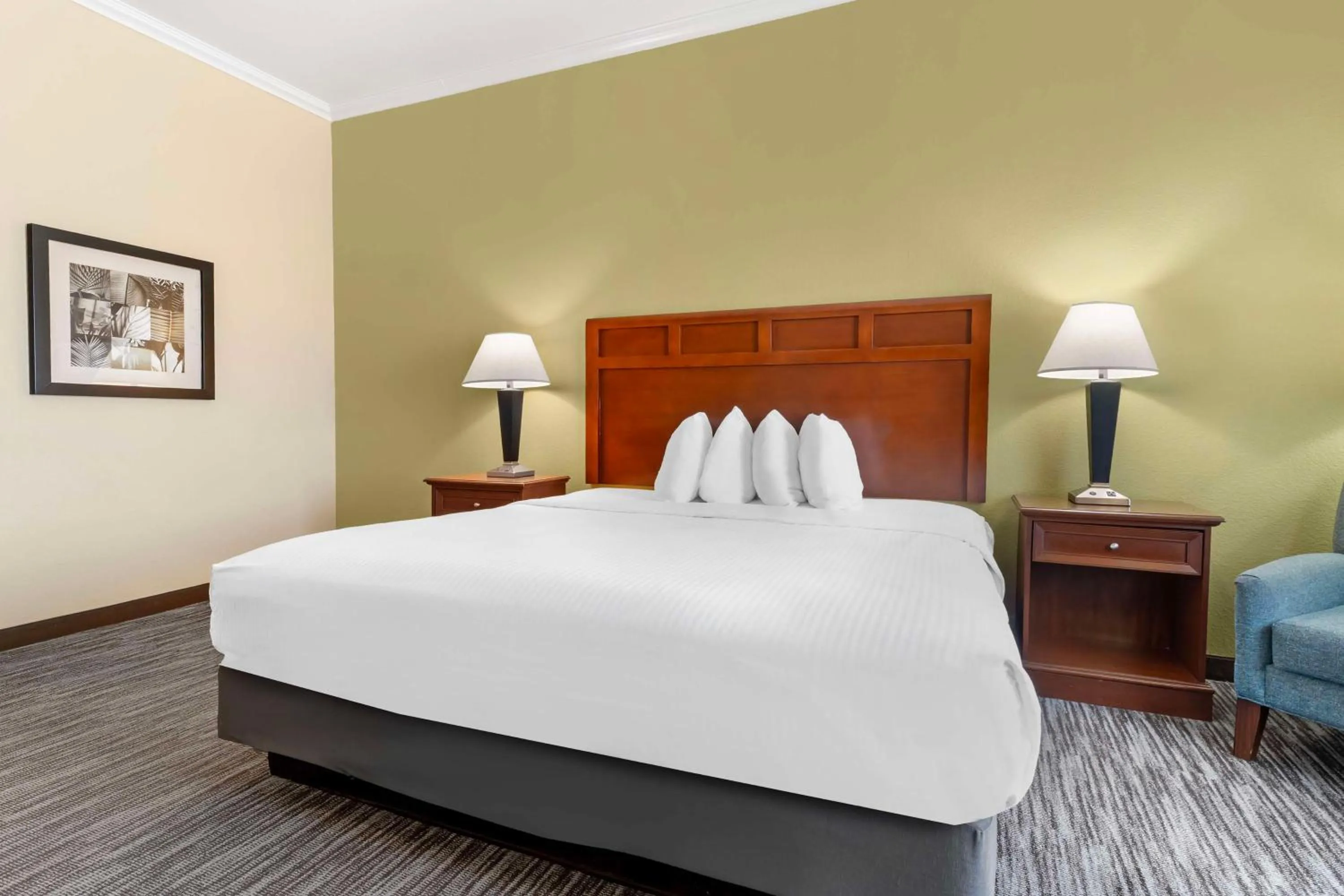 King Room with Roll-in Shower - Disability Access/Non-Smoking in Best Western Hebbronville Inn