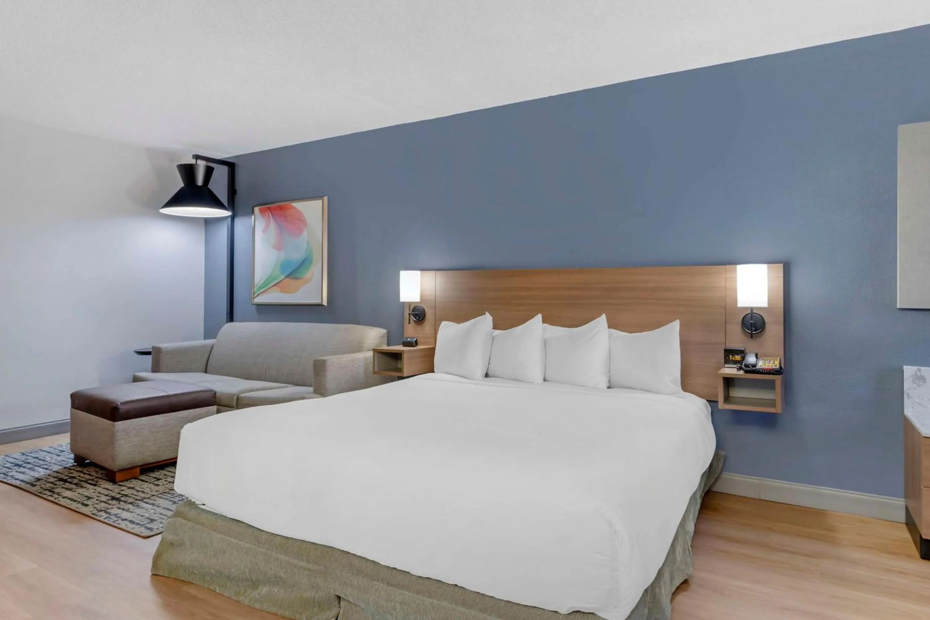 King Room with Sofa Bed and Roll-In Shower - Disability Access in Hyatt Place Houston-North