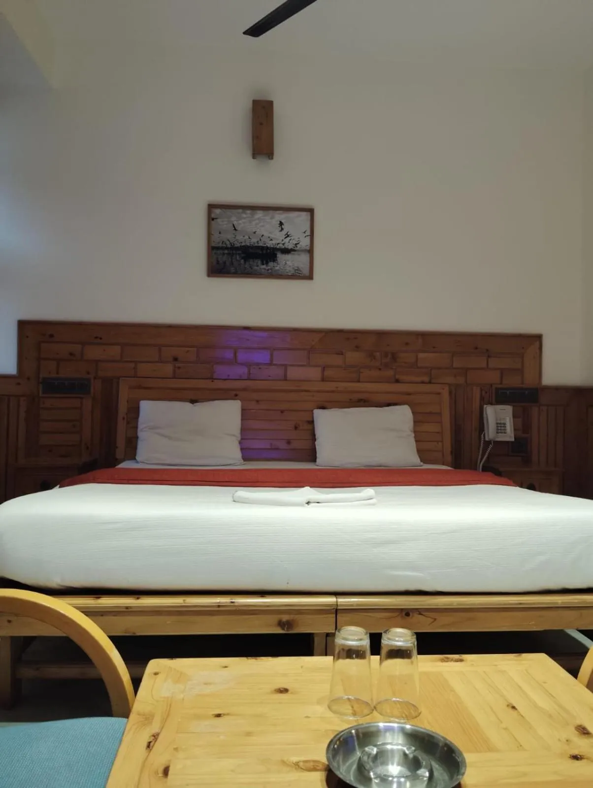 Standard Double Room in Hotel CM Palace - Pure Vegetarian