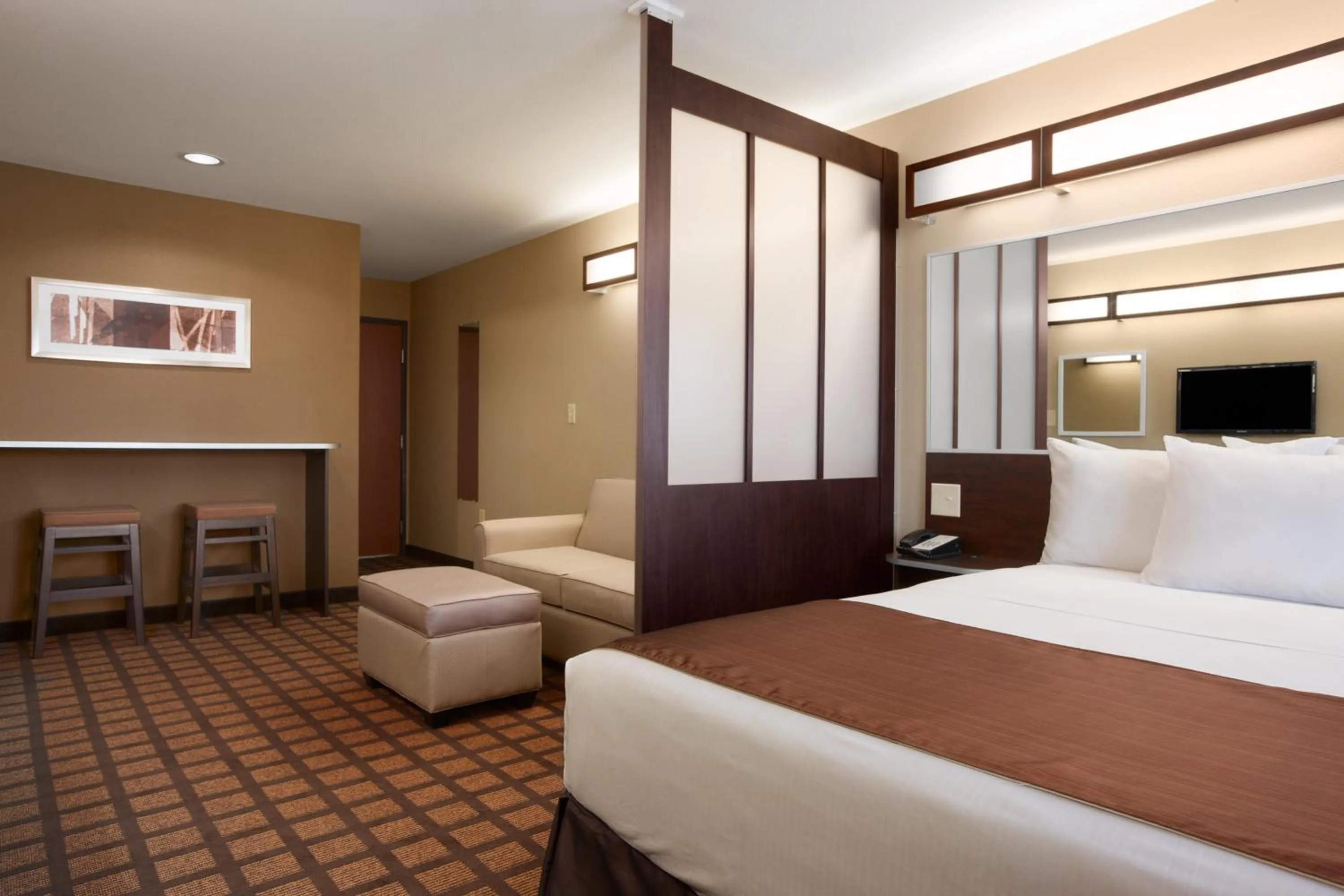 Queen Studio Suite - Mobility Access/Non-Smoking in Microtel Inn & Suites Cotulla