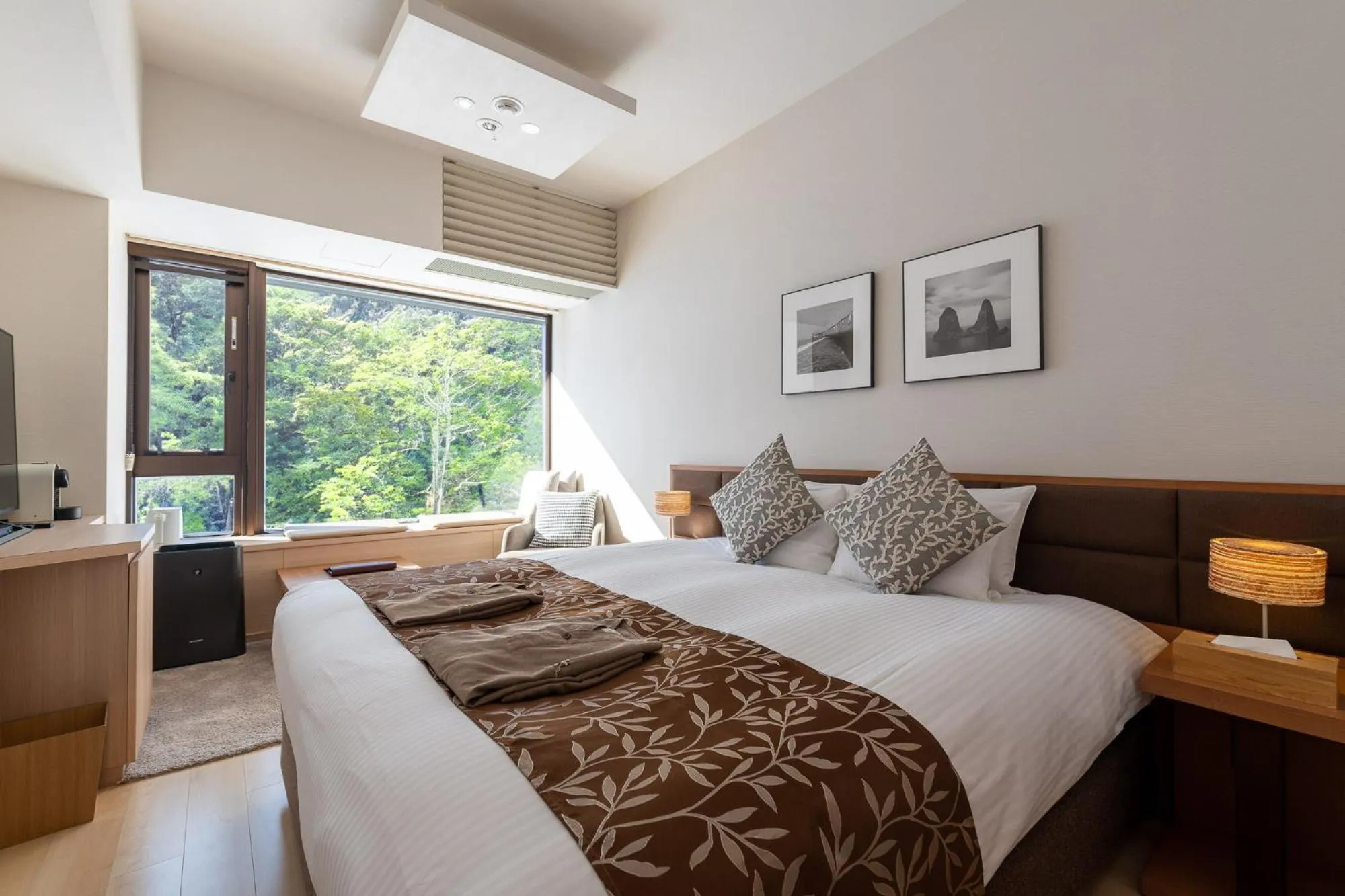 Double or Twin Hotel Room - single occupancy - Resort Side in Ki Niseko