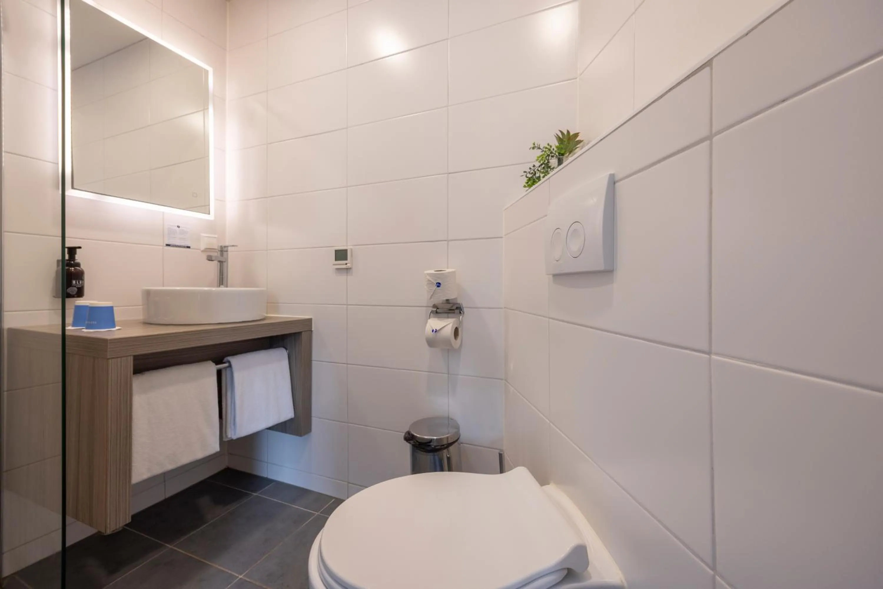 Small Double Room with Terrace in Fletcher Hotel - Resort Spaarnwoude