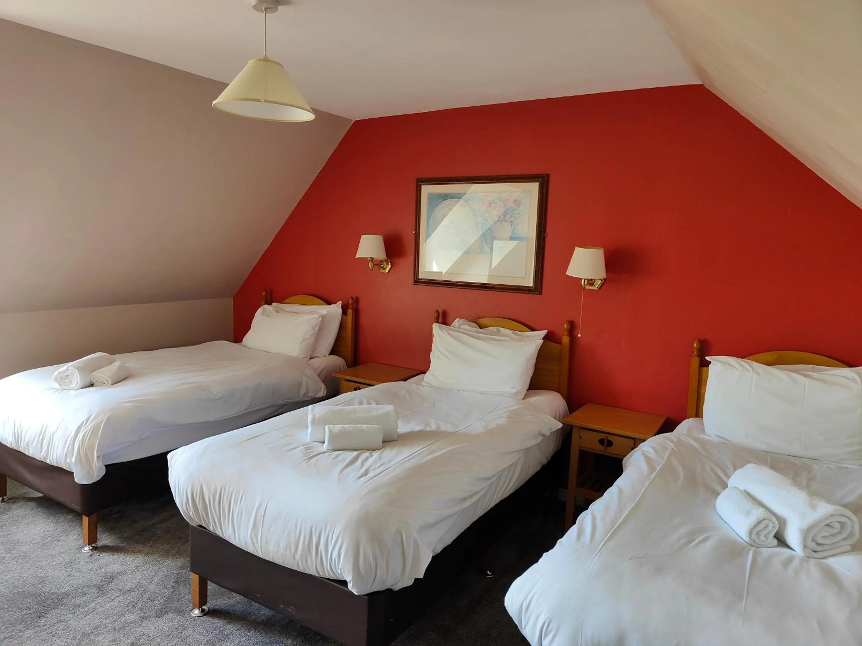 Standard Triple Room in Richmond Arms Hotel