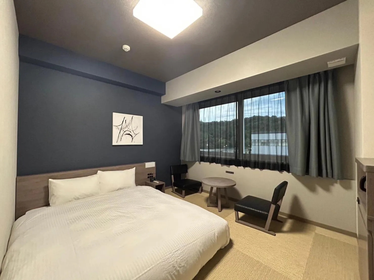 Double Room-Smoking  - single occupancy in Hotel Route Inn Grand Chichibu