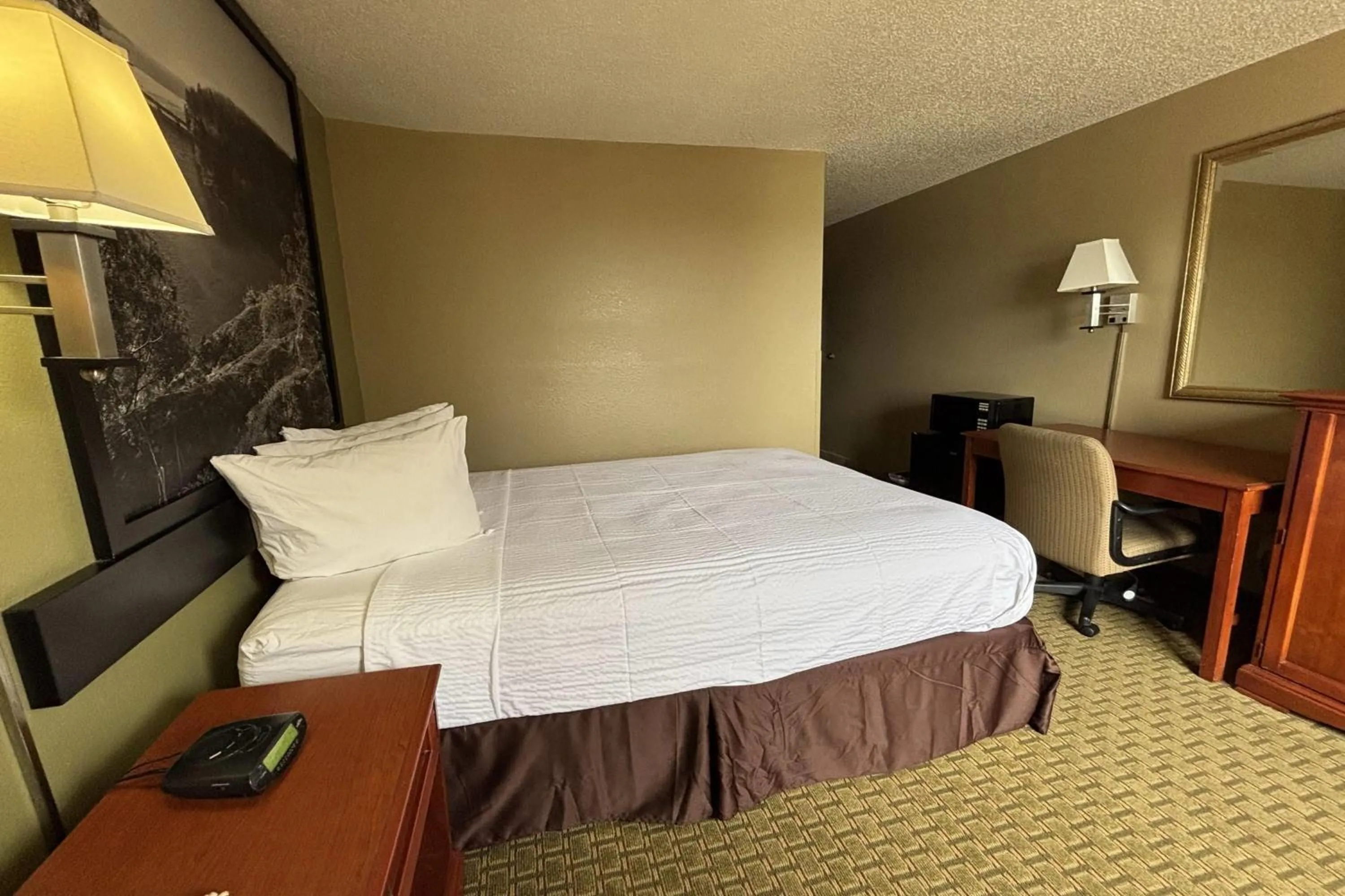 Queen Room - Disability Access/Non-Smoking in Super 8 by Wyndham Pontiac