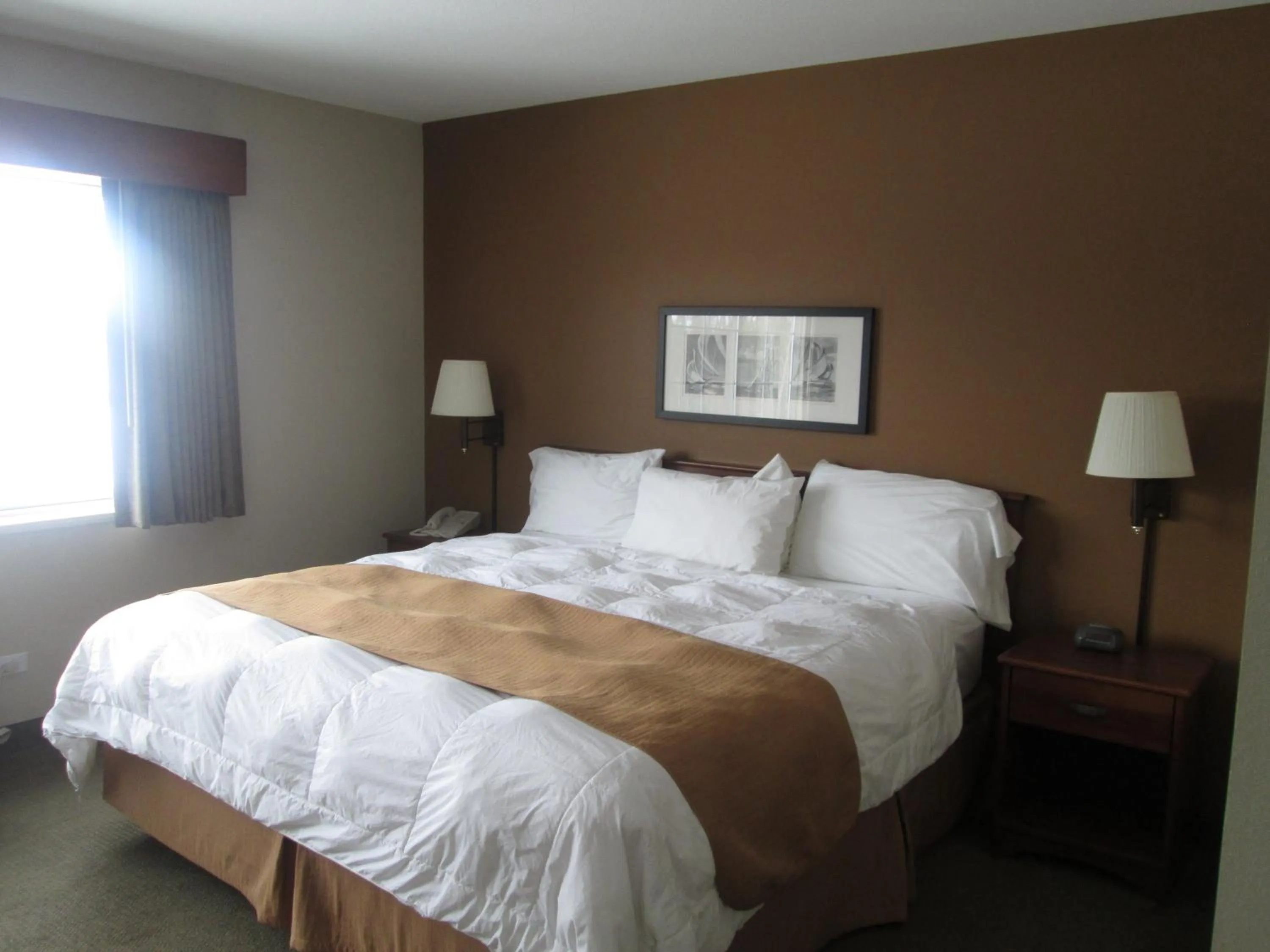 King Room with Roll-In Shower - Mobility Access/Non-Smoking in AmericInn by Wyndham Charlevoix