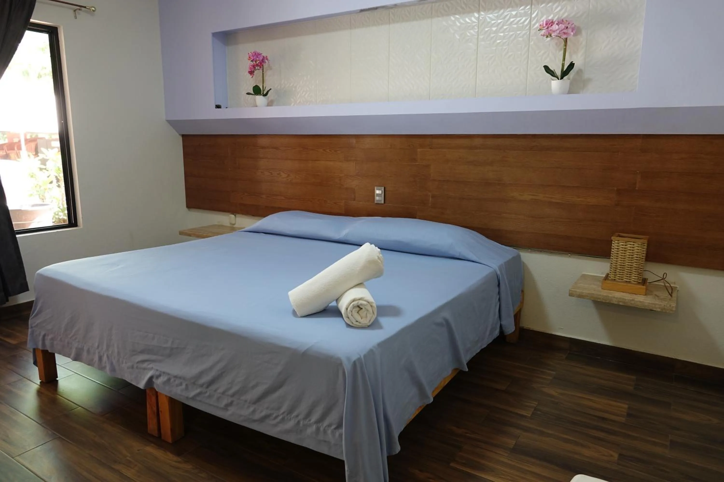 Deluxe Double Room in Hotel Posada Comala