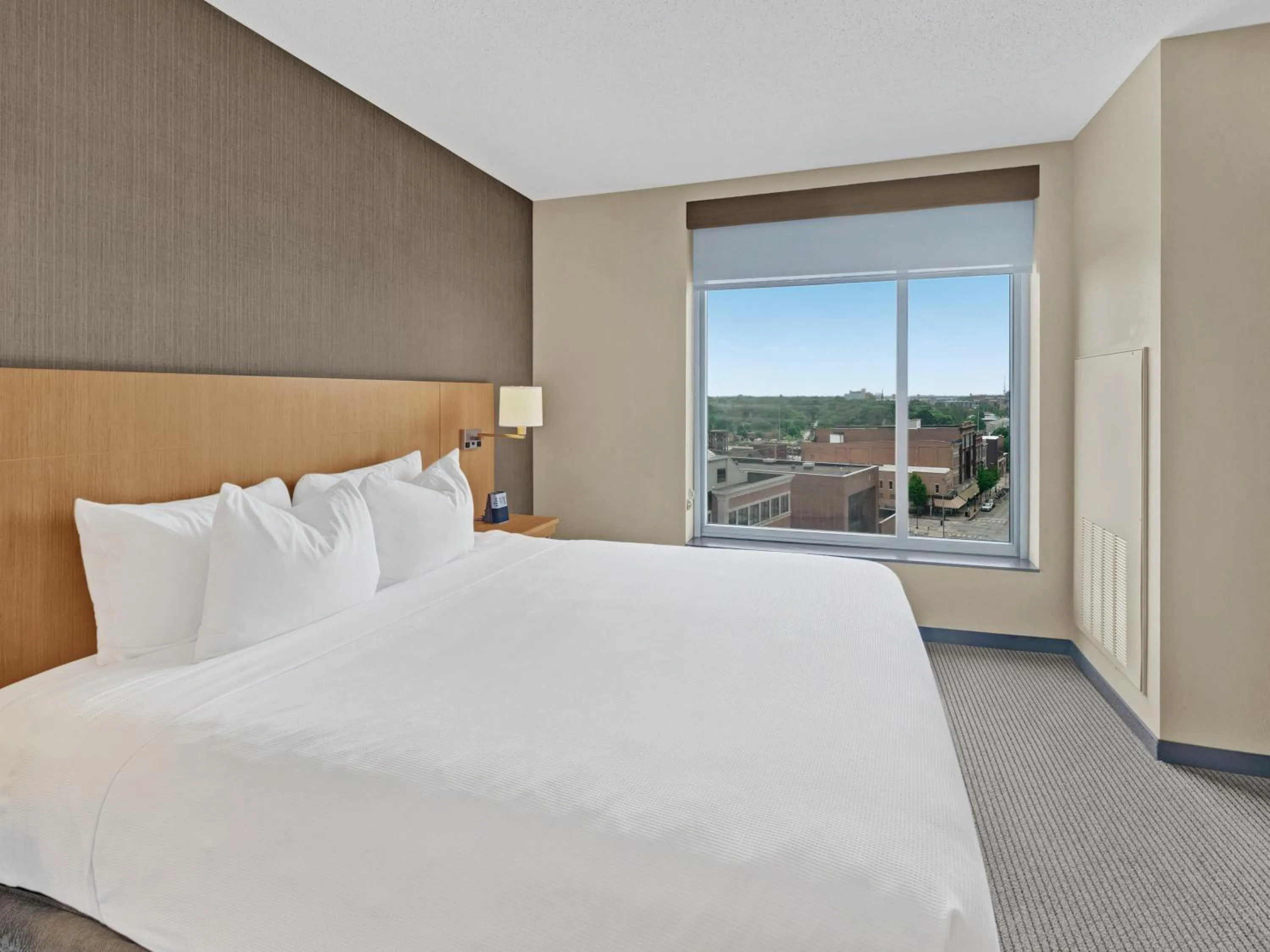 King Room with Sofa Bed and Roll-In Shower - Disability Access in Hyatt Place Champaign/Urbana