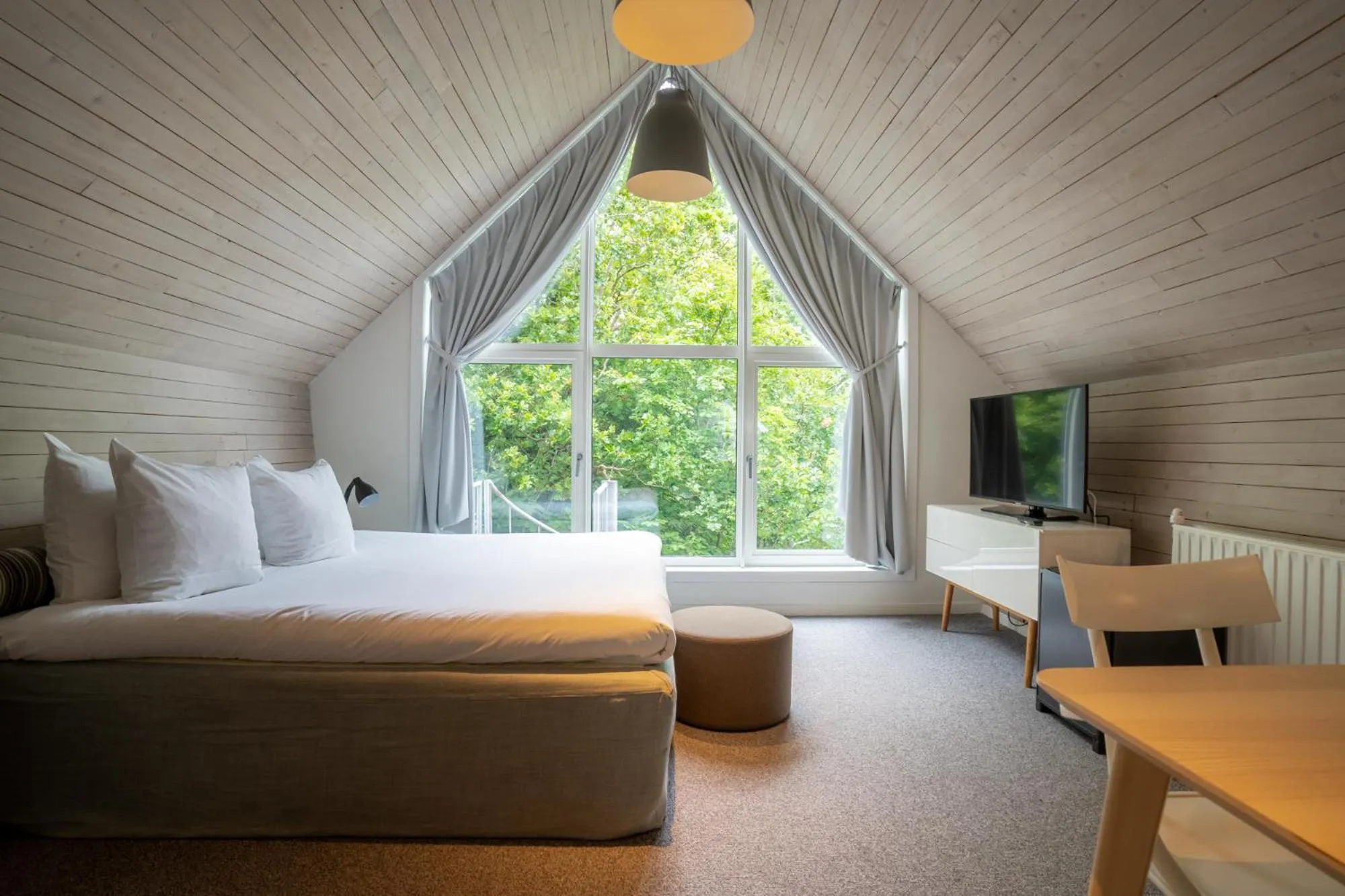 Family Studio in blooming