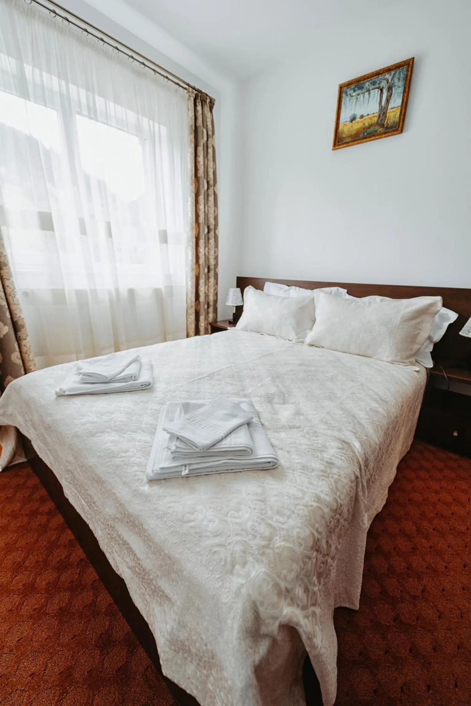 Double or Twin Room - single occupancy in Complex Turistic Constantin Bucovina