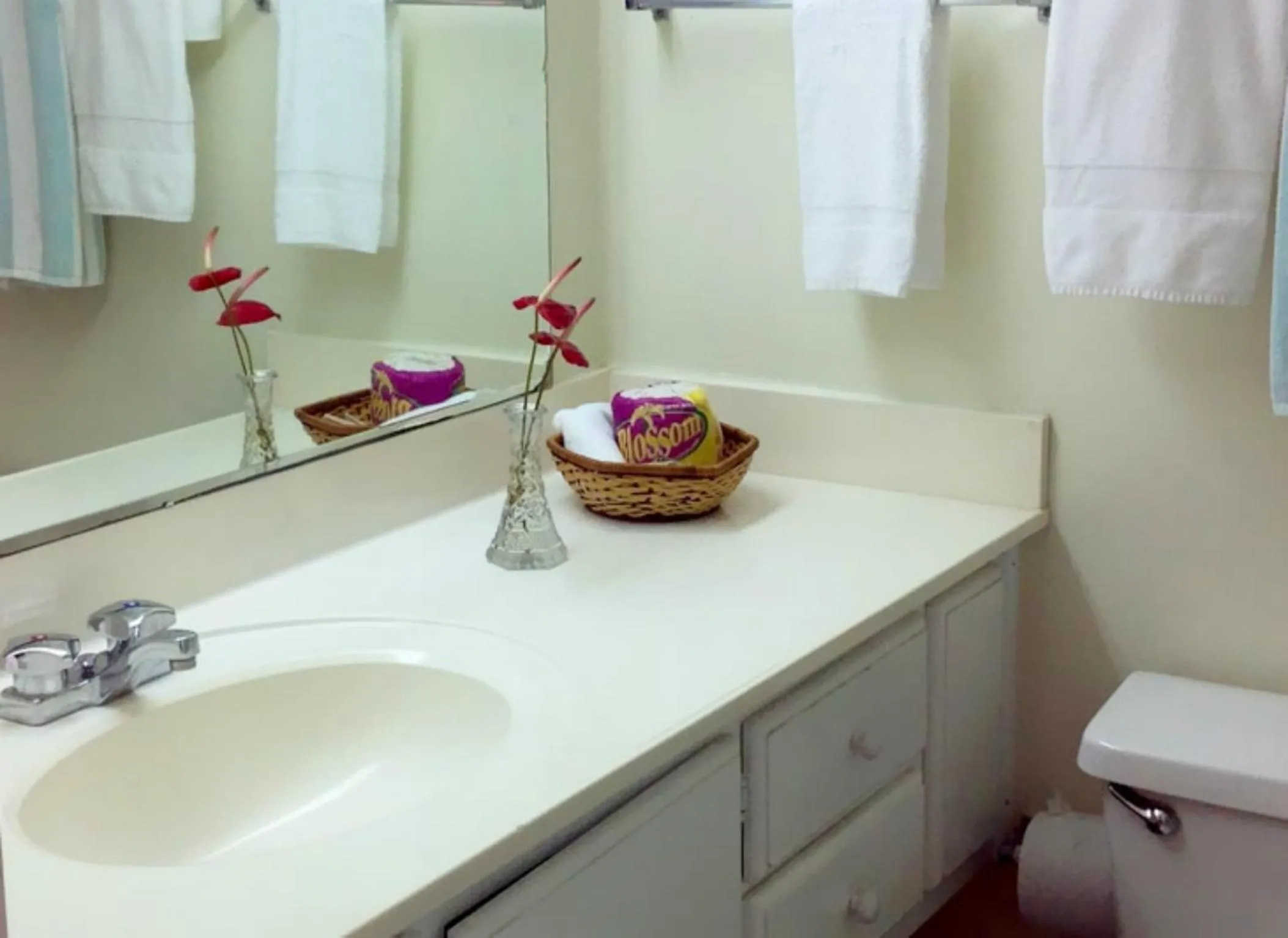 Double Room with Two Double Beds and Garden View - single occupancy in Sunset Shores Beach Hotel