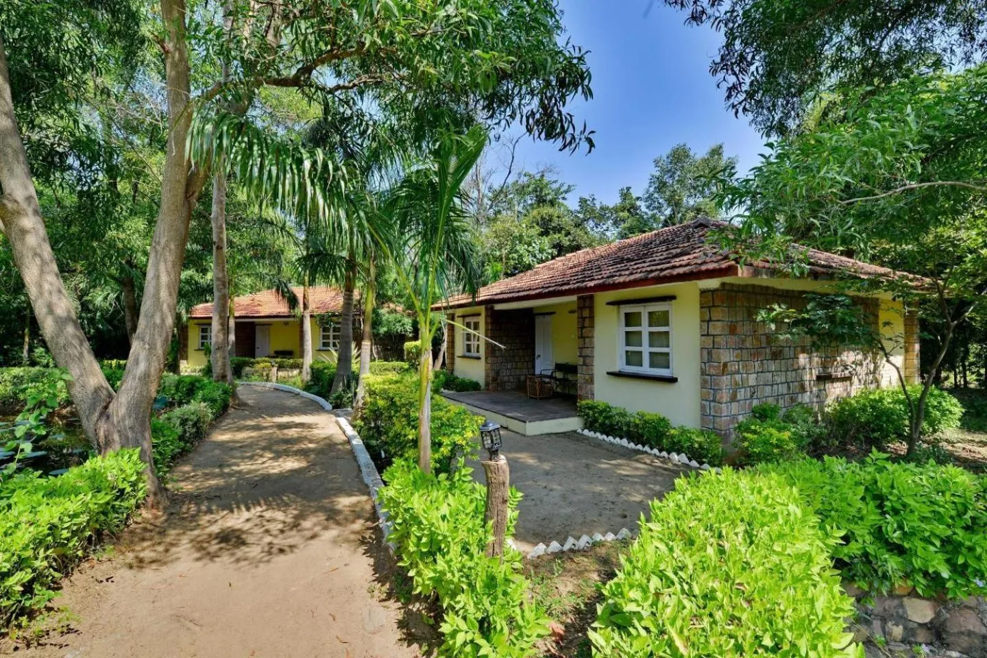 Deluxe Double Room in Tiger Trails Resort