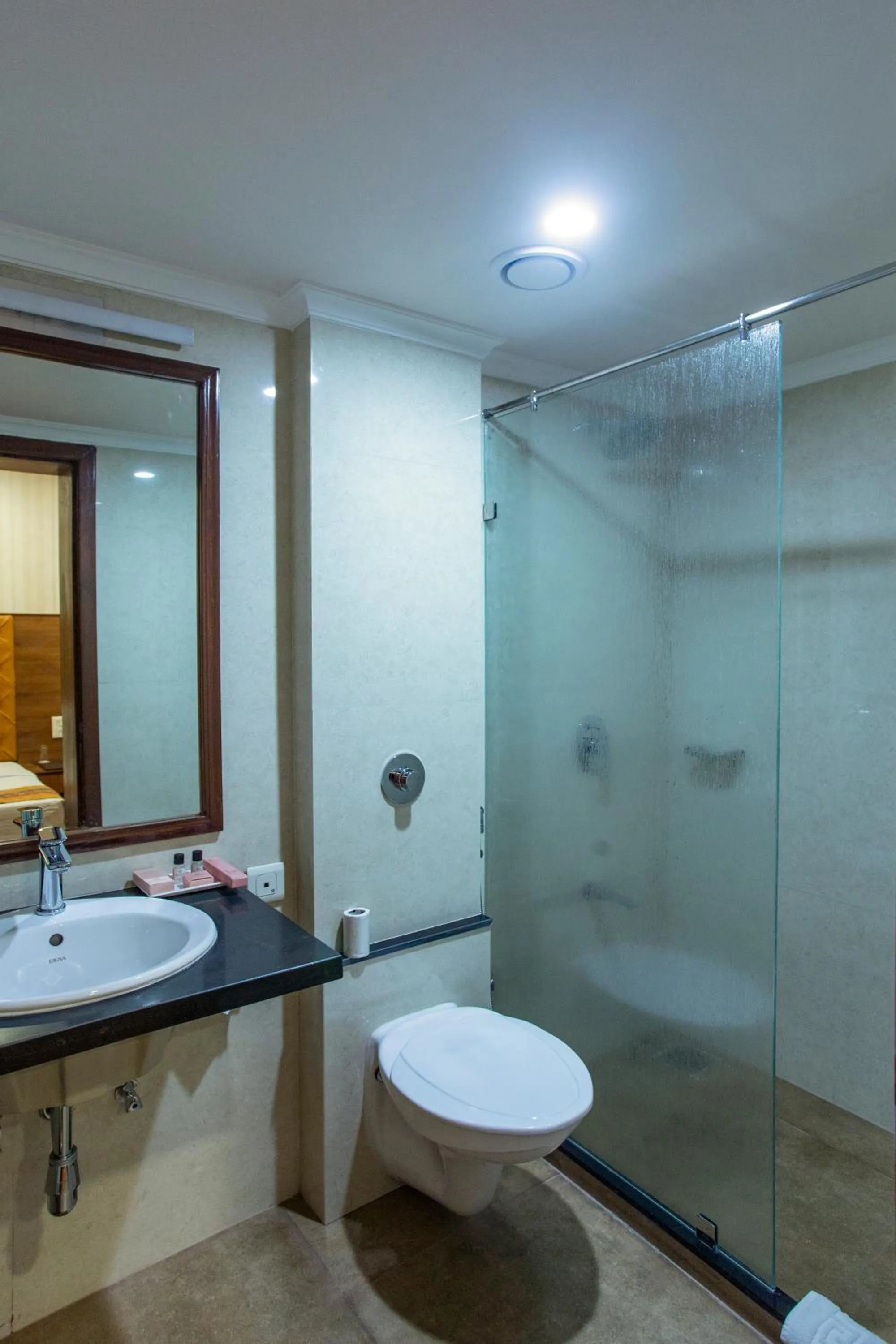 Deluxe Twin Room - single occupancy in The Grand Regency