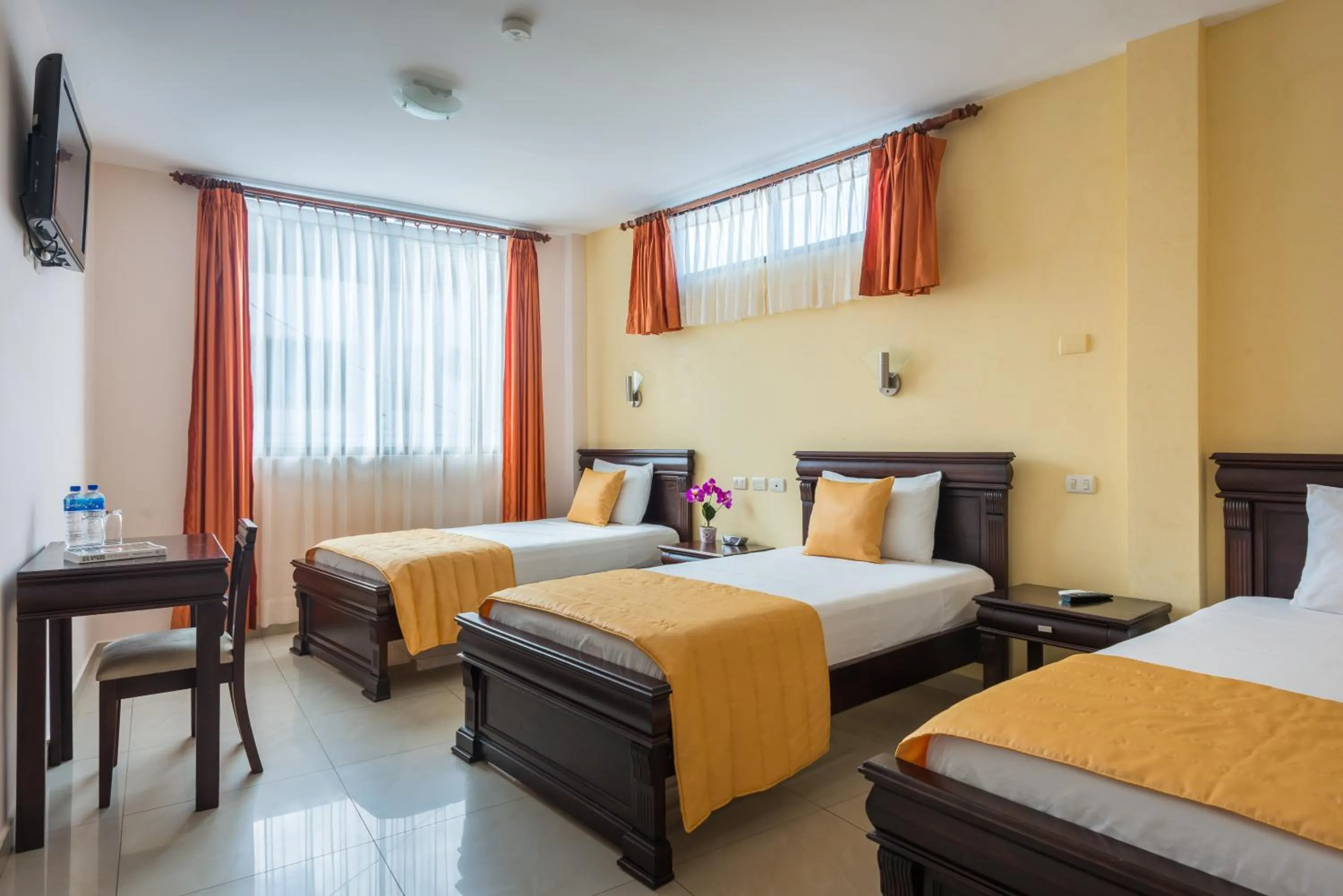 Triple Room - single occupancy in Hotel Flamingo