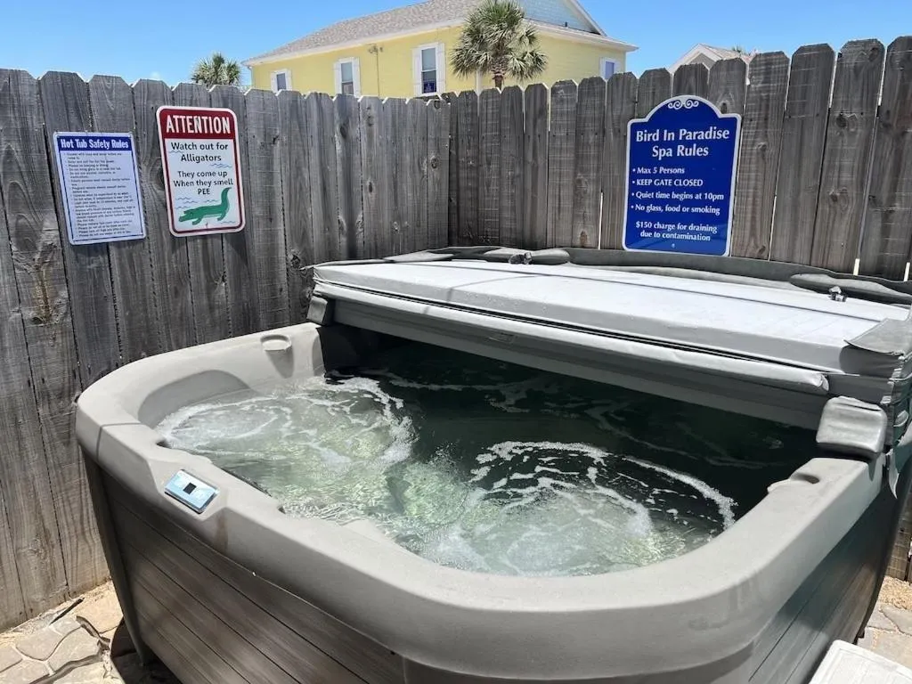 Studio in Bird in Paradise