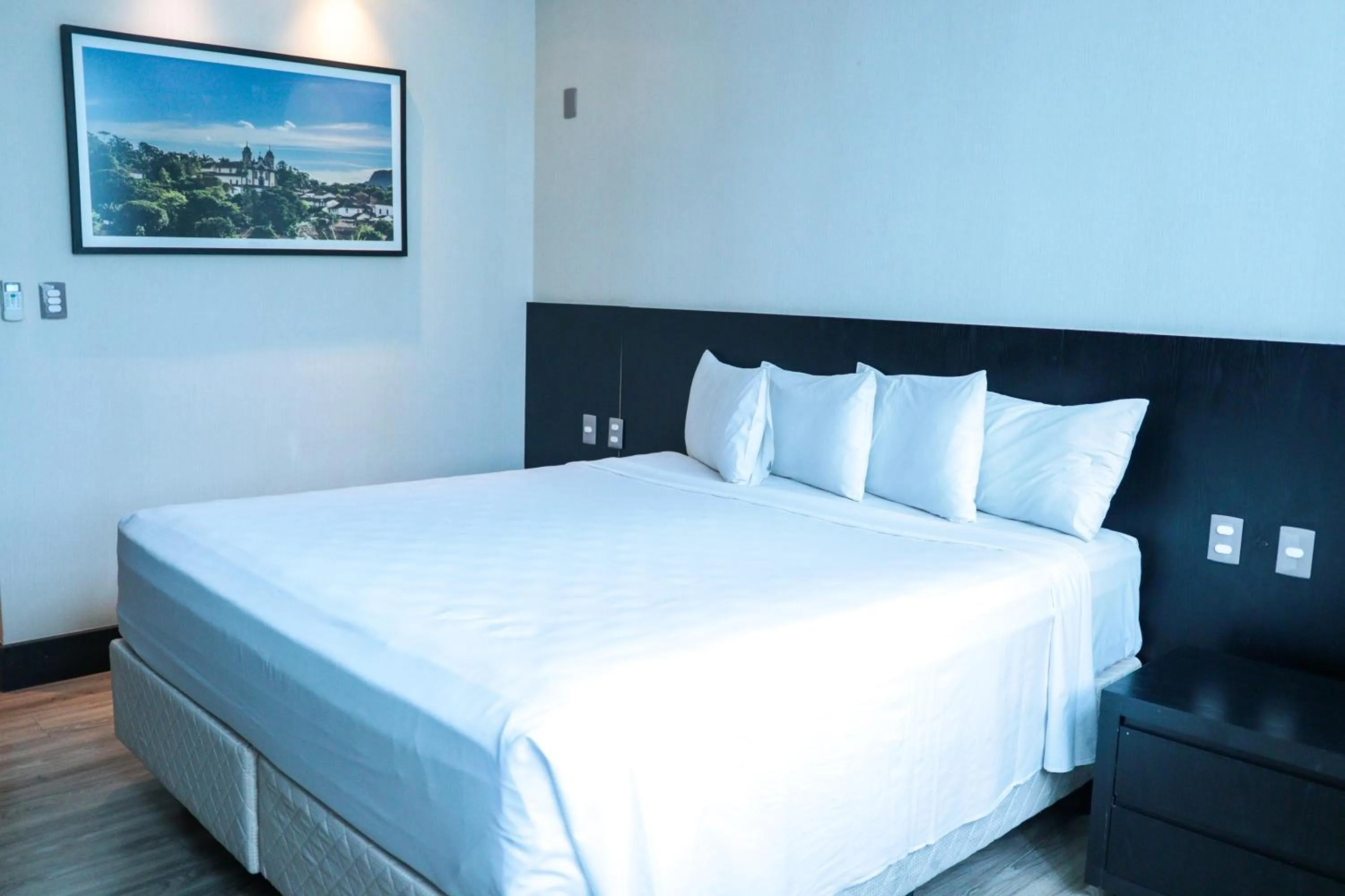 Queen Room - single occupancy - Non-Smoking in Tryp by Wyndham Belo Horizonte Savassi