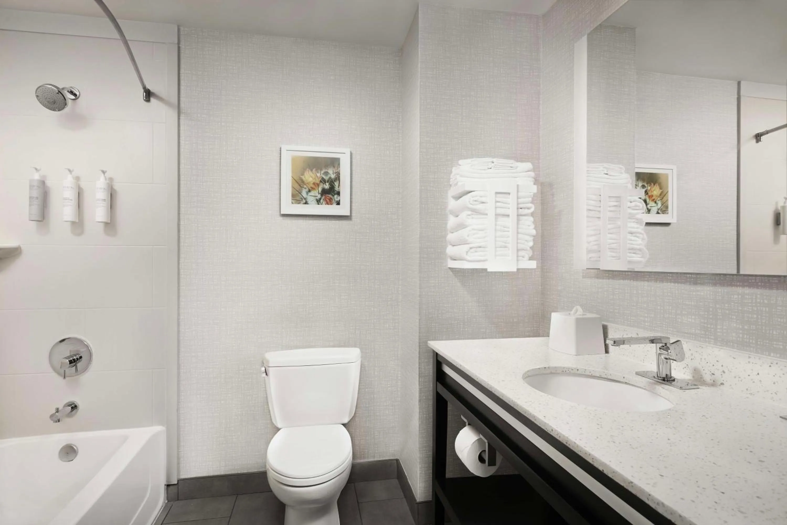 Premium Queen Studio with Two Queen Beds - Non-Smoking in Hampton Inn & Suites El Paso/East