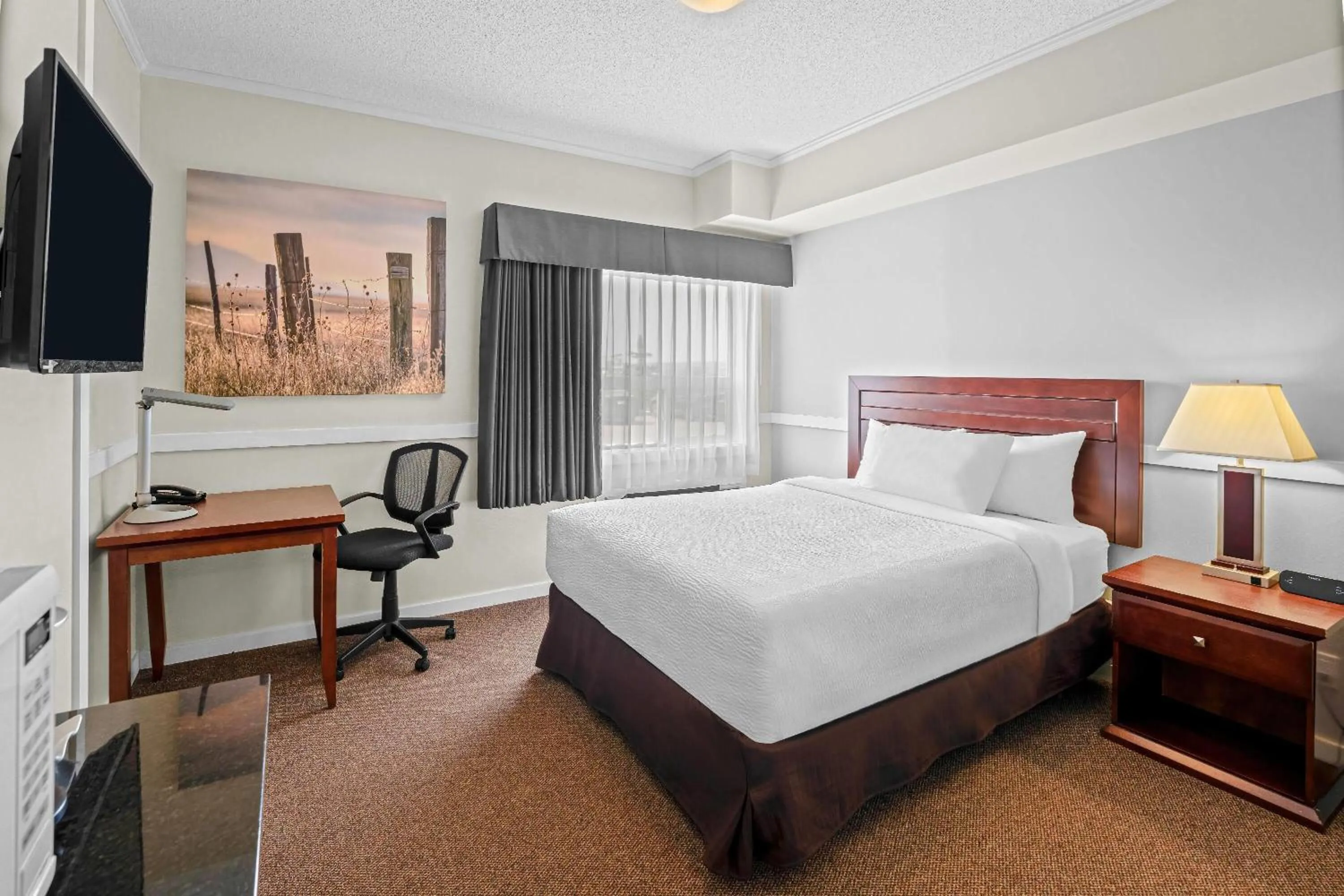 Queen Room with Roll-In Shower and Kitchenette - Mobility Accessible/Non-Smoking in Days Inn by Wyndham Lamont