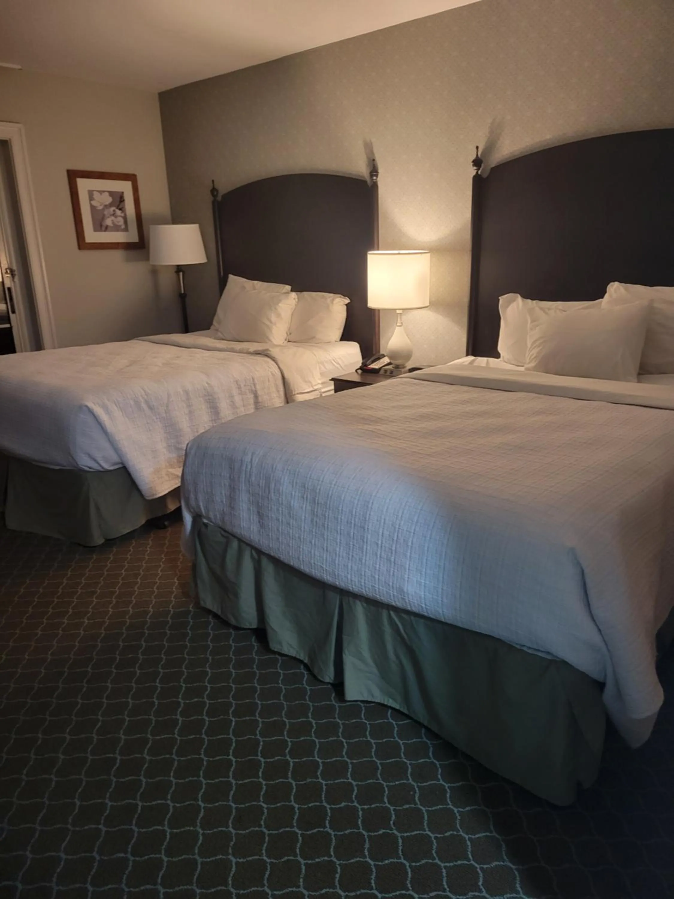 Superior Queen Room with Two Queen Beds - Non-Smoking in Natural Bridge Hotel, Trademark Collection by Wyndham