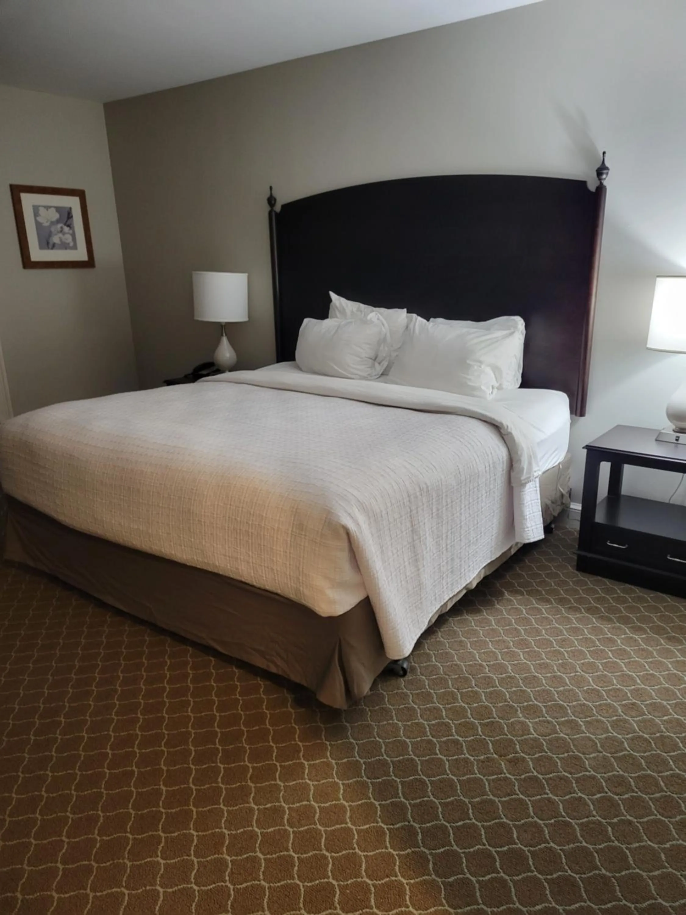 Superior King Room - Non-Smoking in Natural Bridge Hotel, Trademark Collection by Wyndham