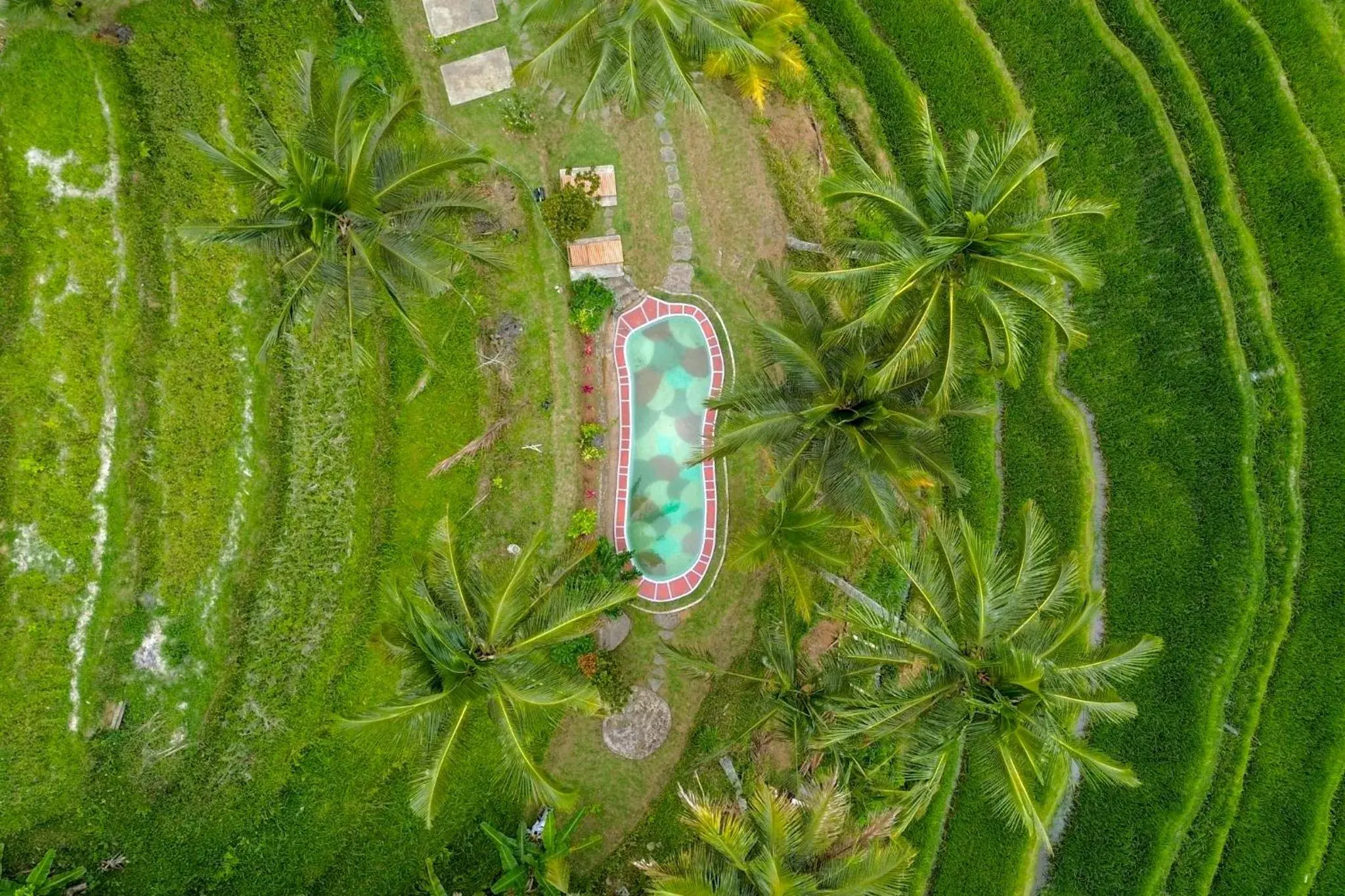 Pesona Bali Ecolodge by AGATA Pesona Bali Ecolodge by AGATA
