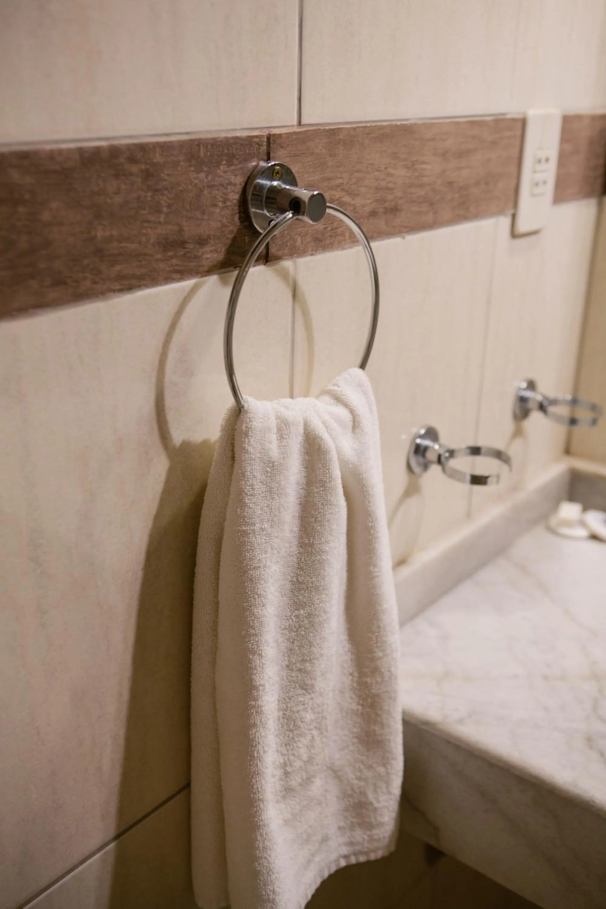 Standard Single Room in Hotel Santo Domingo