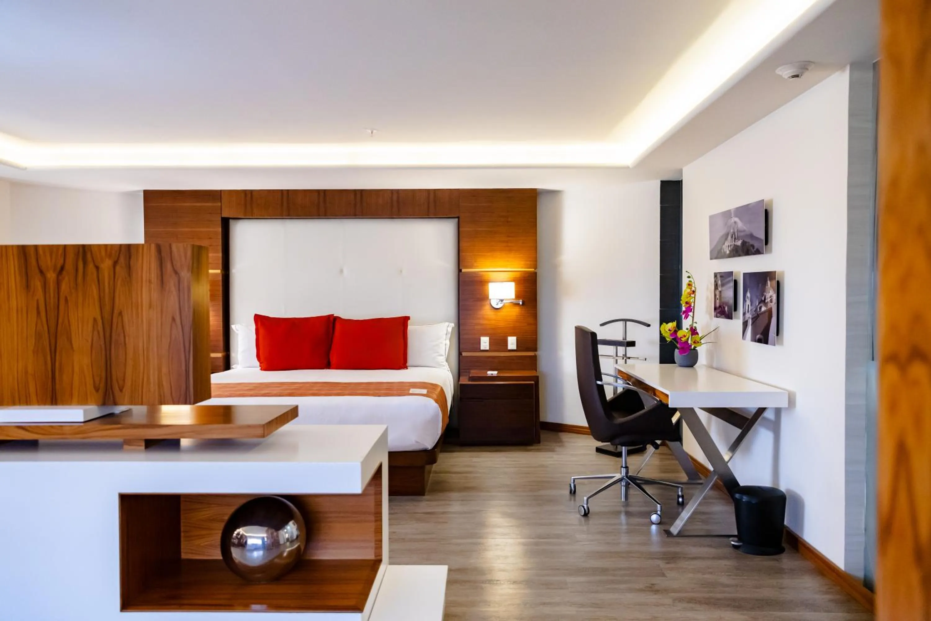 Deluxe Suite in JF Grand Puebla
