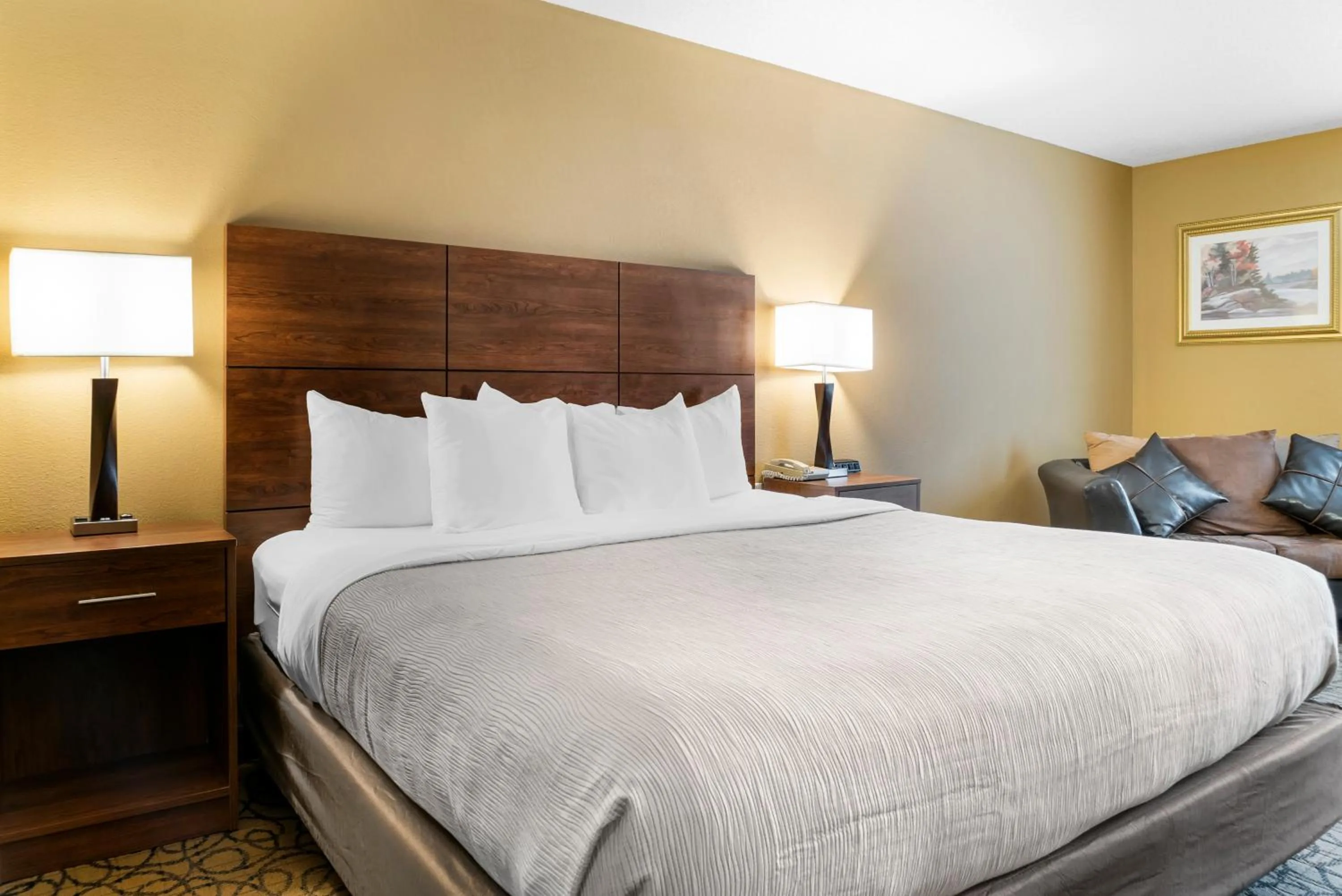 Standard King Room - Non Smoking in Quality Inn & Suites