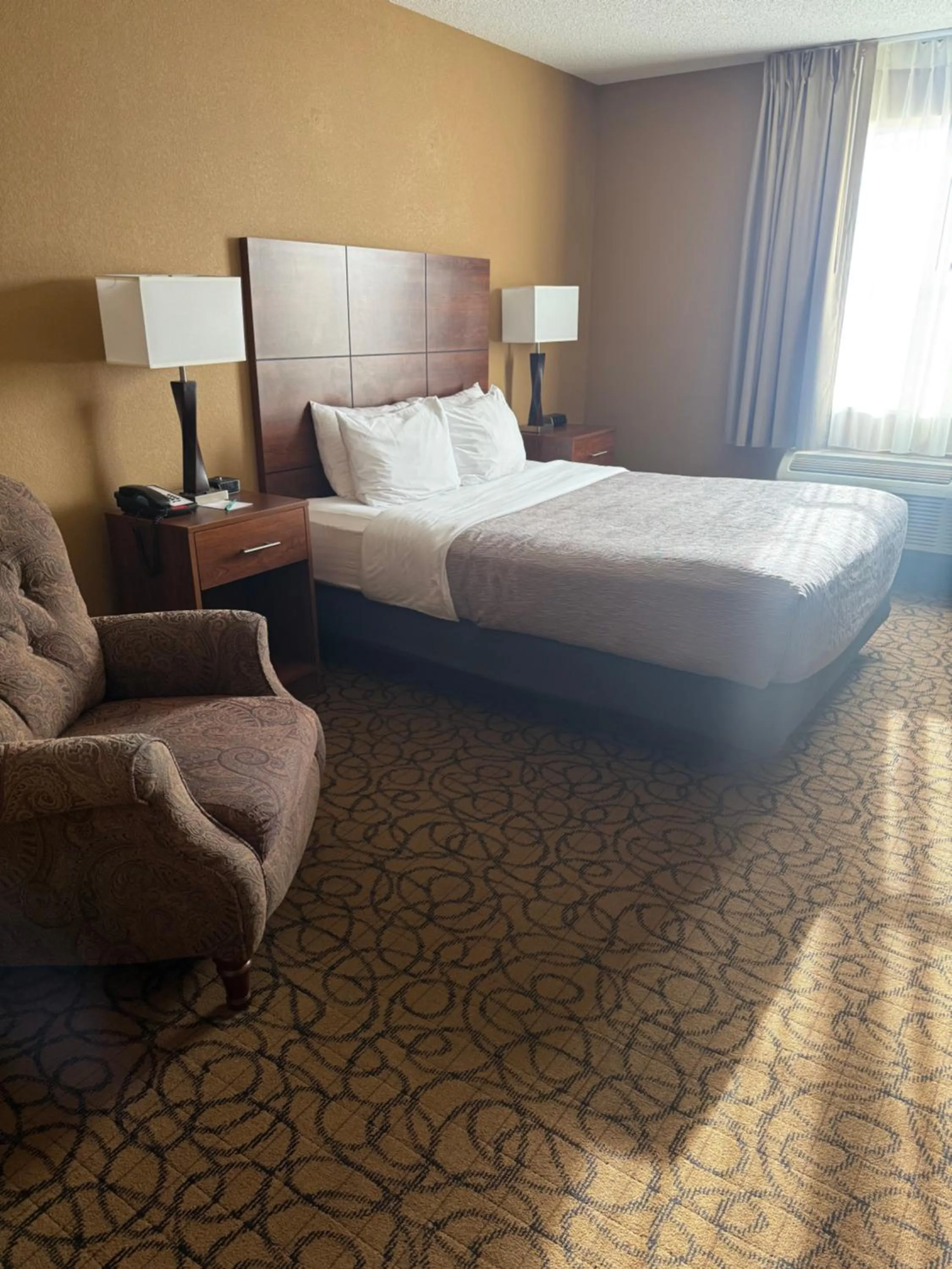 Queen Room - Accessible/Non Smoking/1st Floor in Quality Inn & Suites