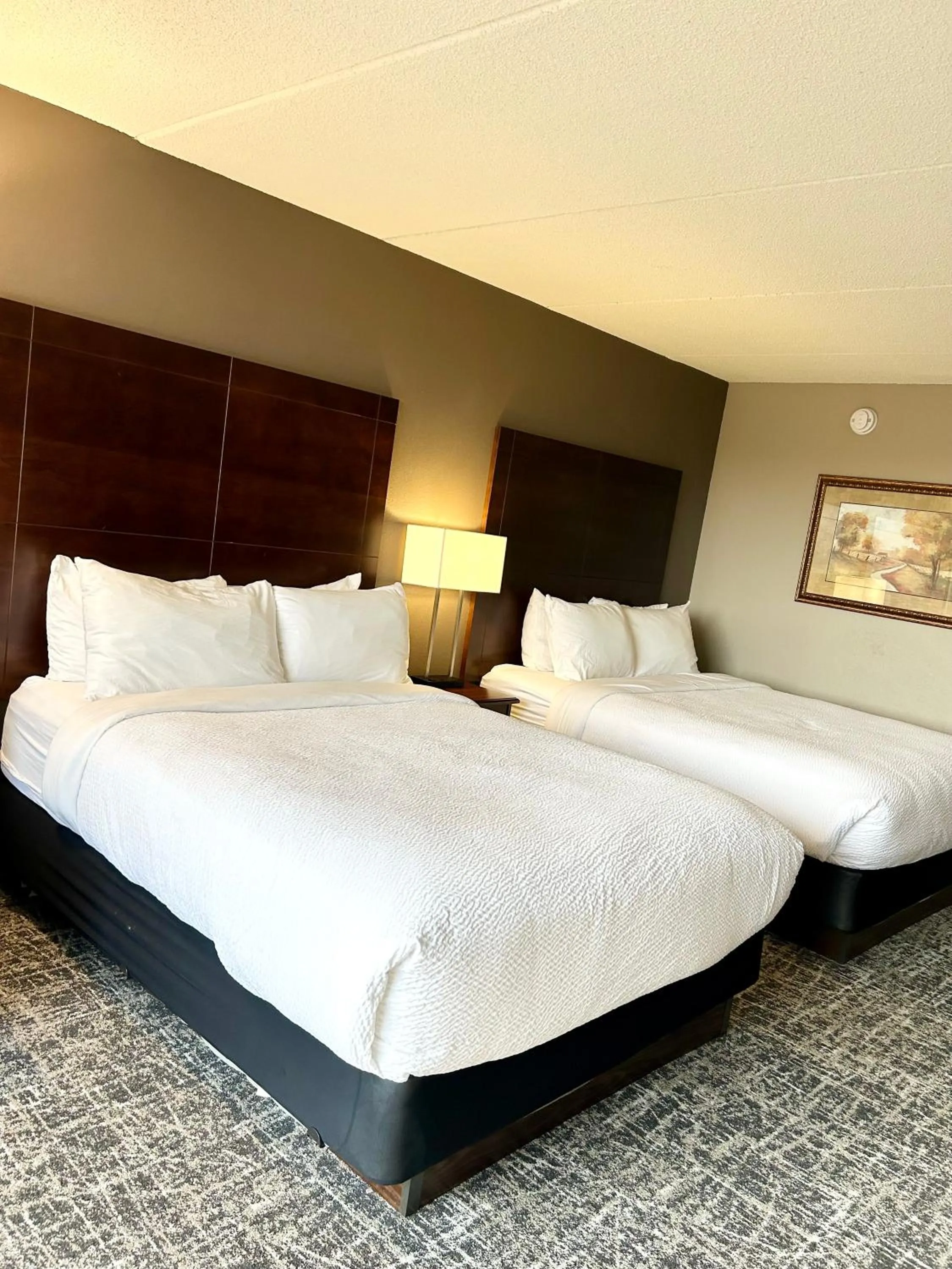 Queen Studio with Two Queen Beds - Non-Smoking in Best Western Plus Kelly Inn