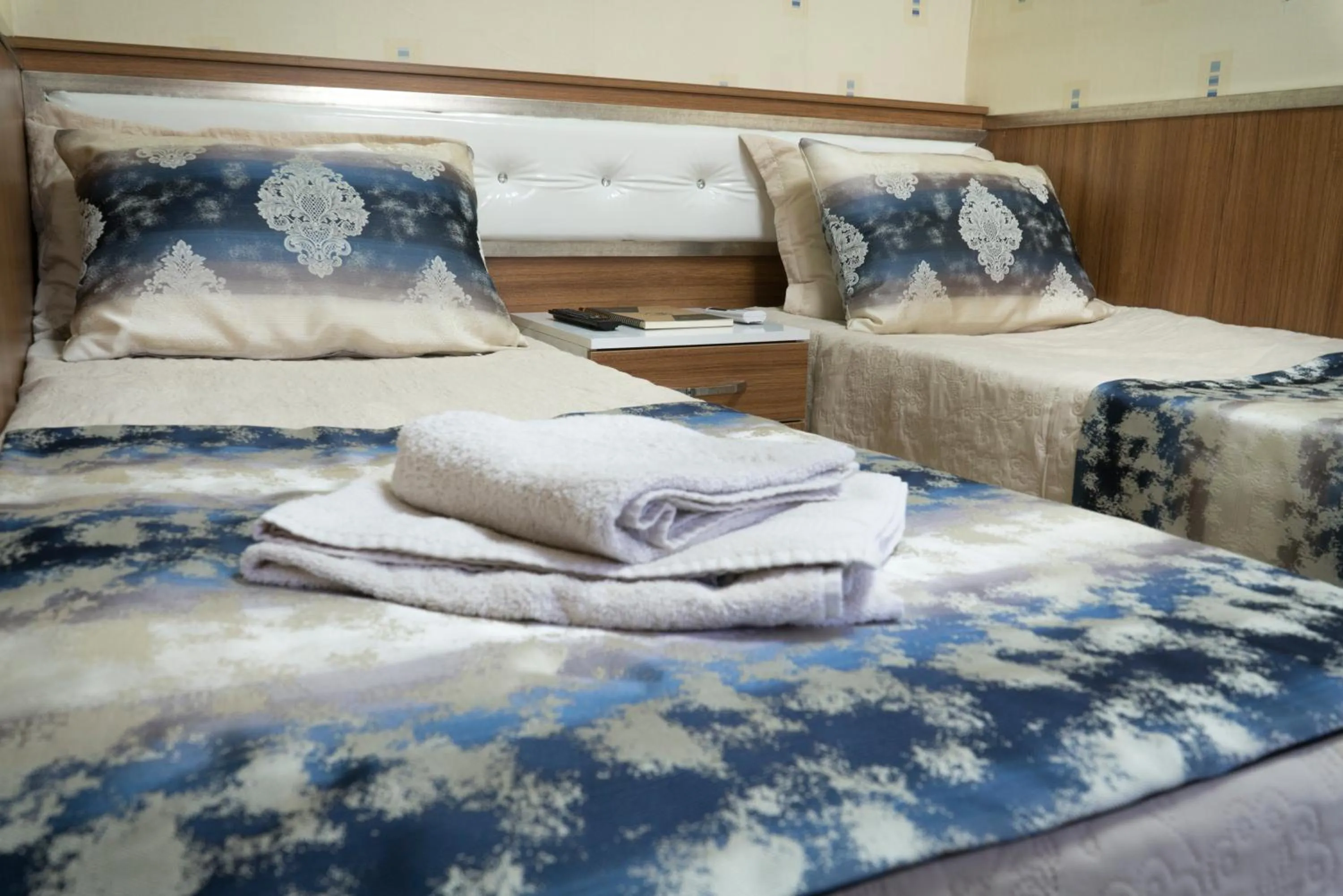 Twin Room with Garden View in Koçak Pansiyon