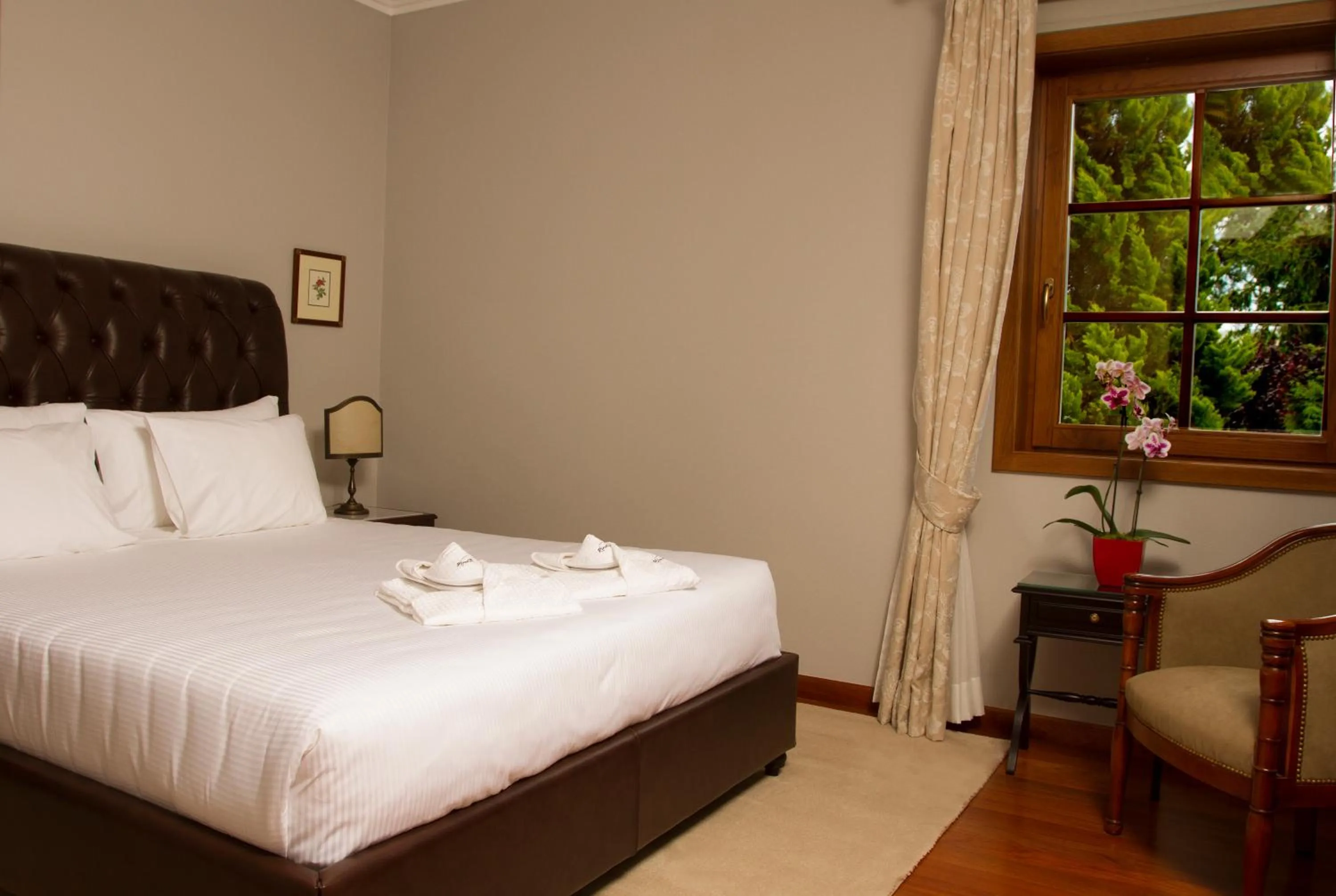 Suite in Rinoterra Minho