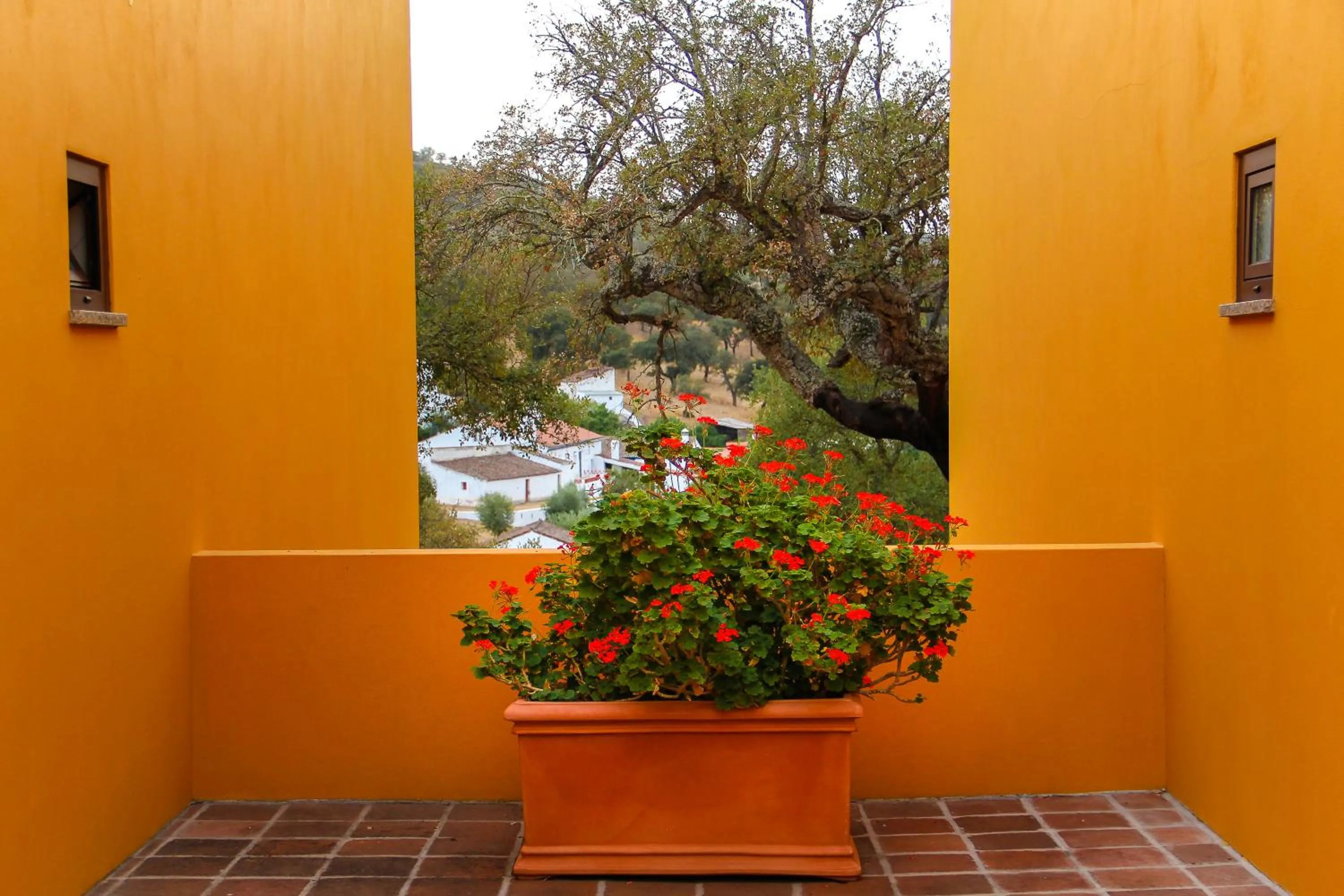 Apartment with Terrace in Monte da Esperanca