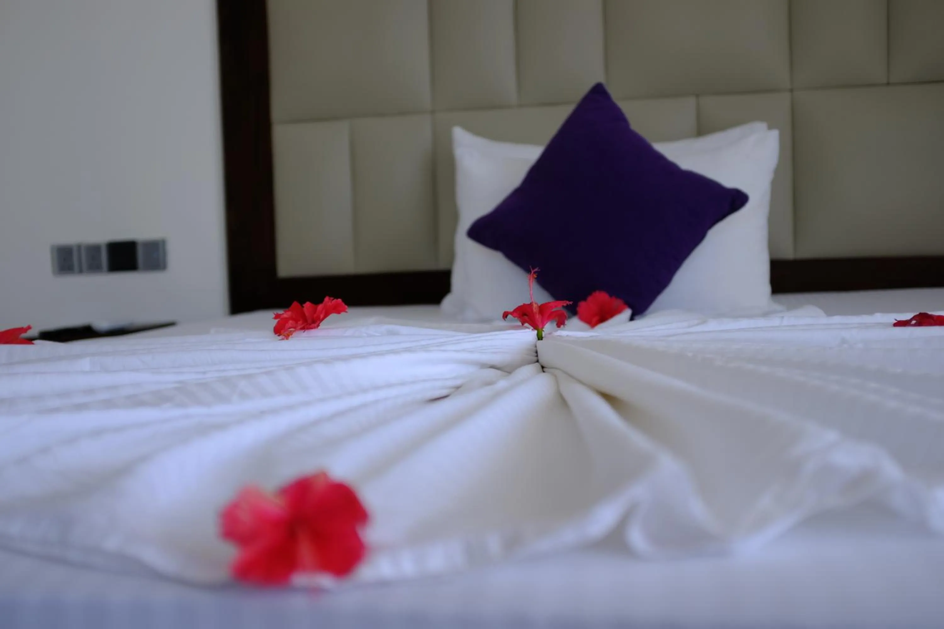 Standard Double Room in Mzion Hotel Weligama