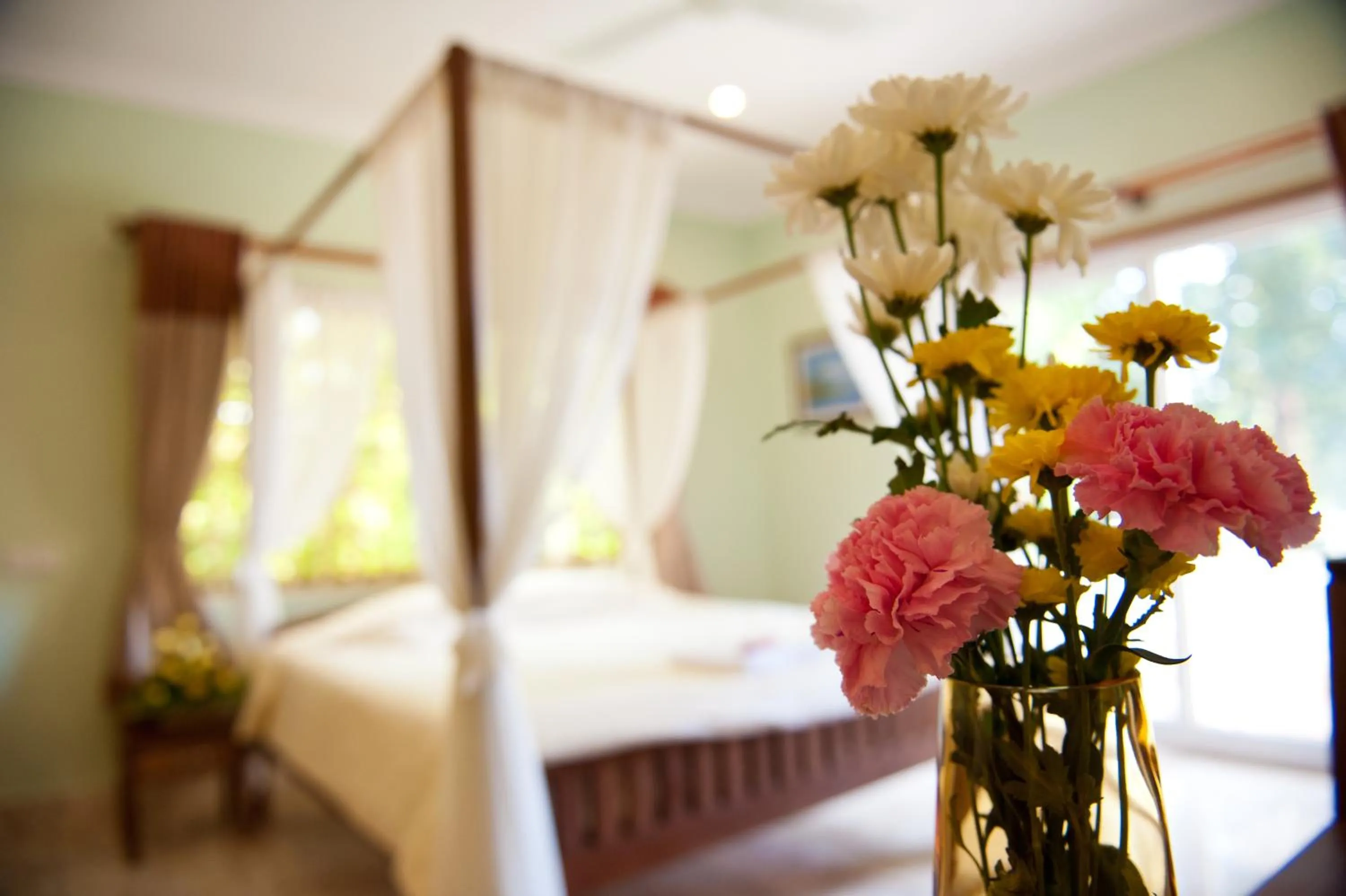 superior king with kitchenette in Villa Grange