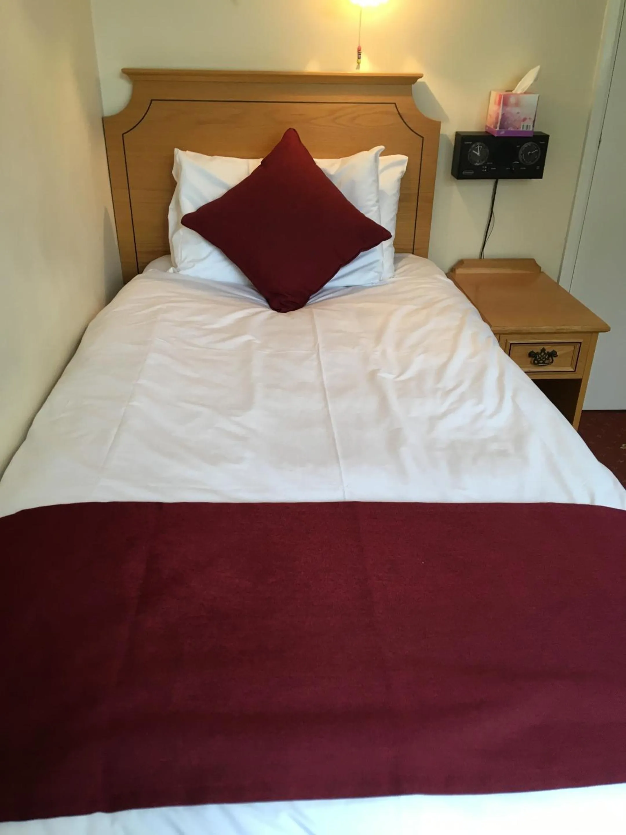 Single Room with Shower - single occupancy in The Nyton Guesthouse