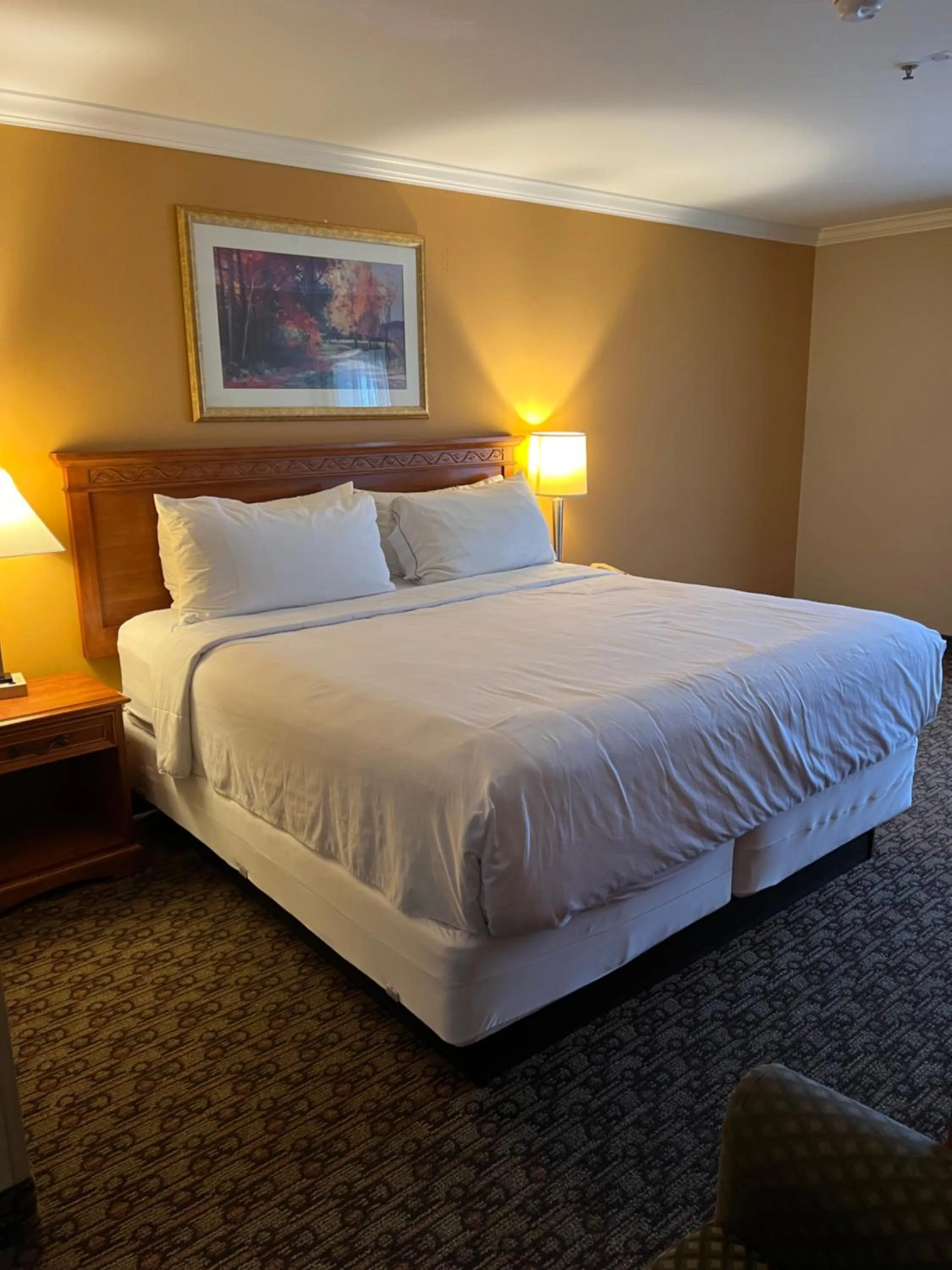 King Room in Hotel Xola