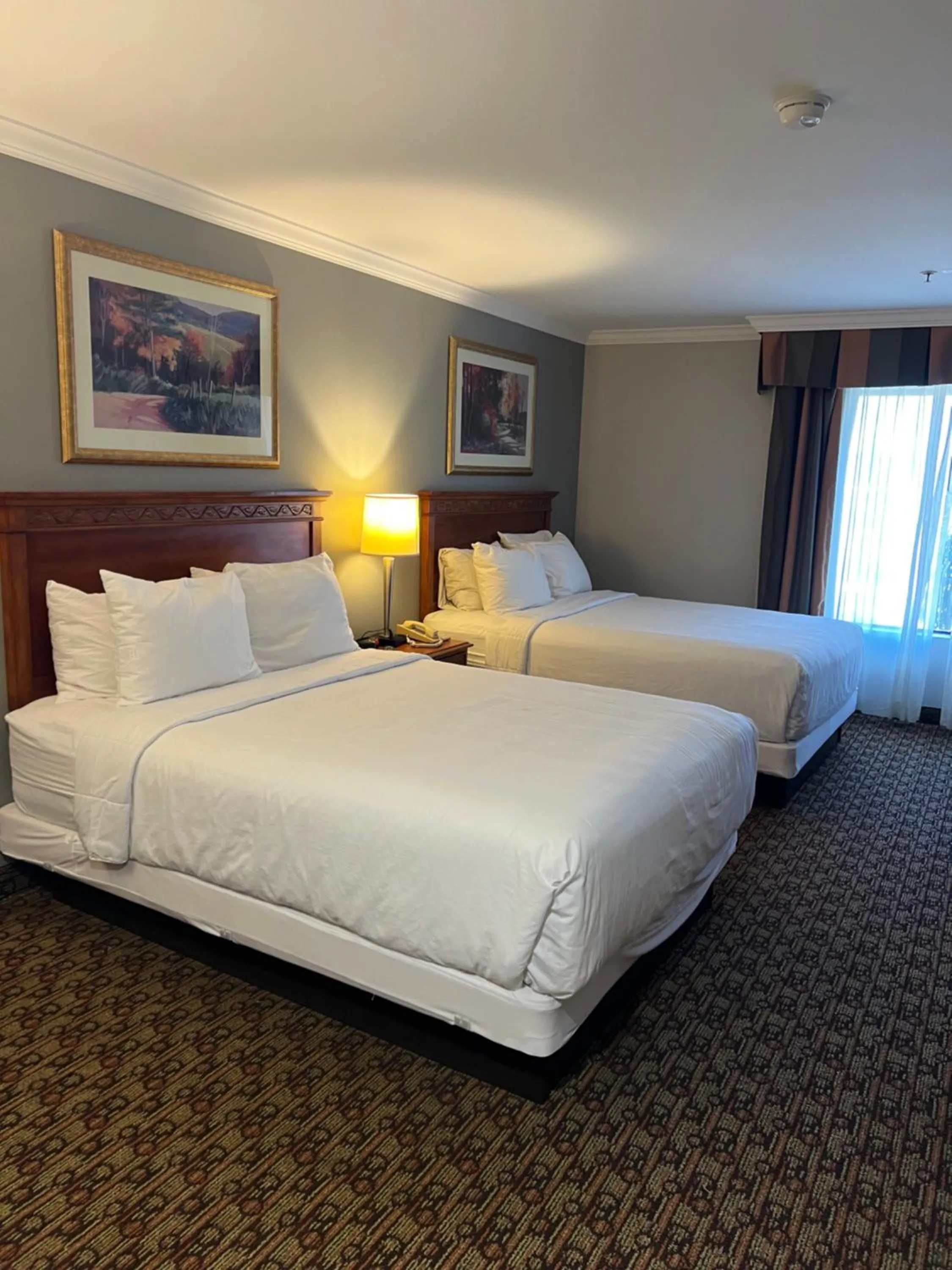 Queen Room with Two Queen Beds in Hotel Xola